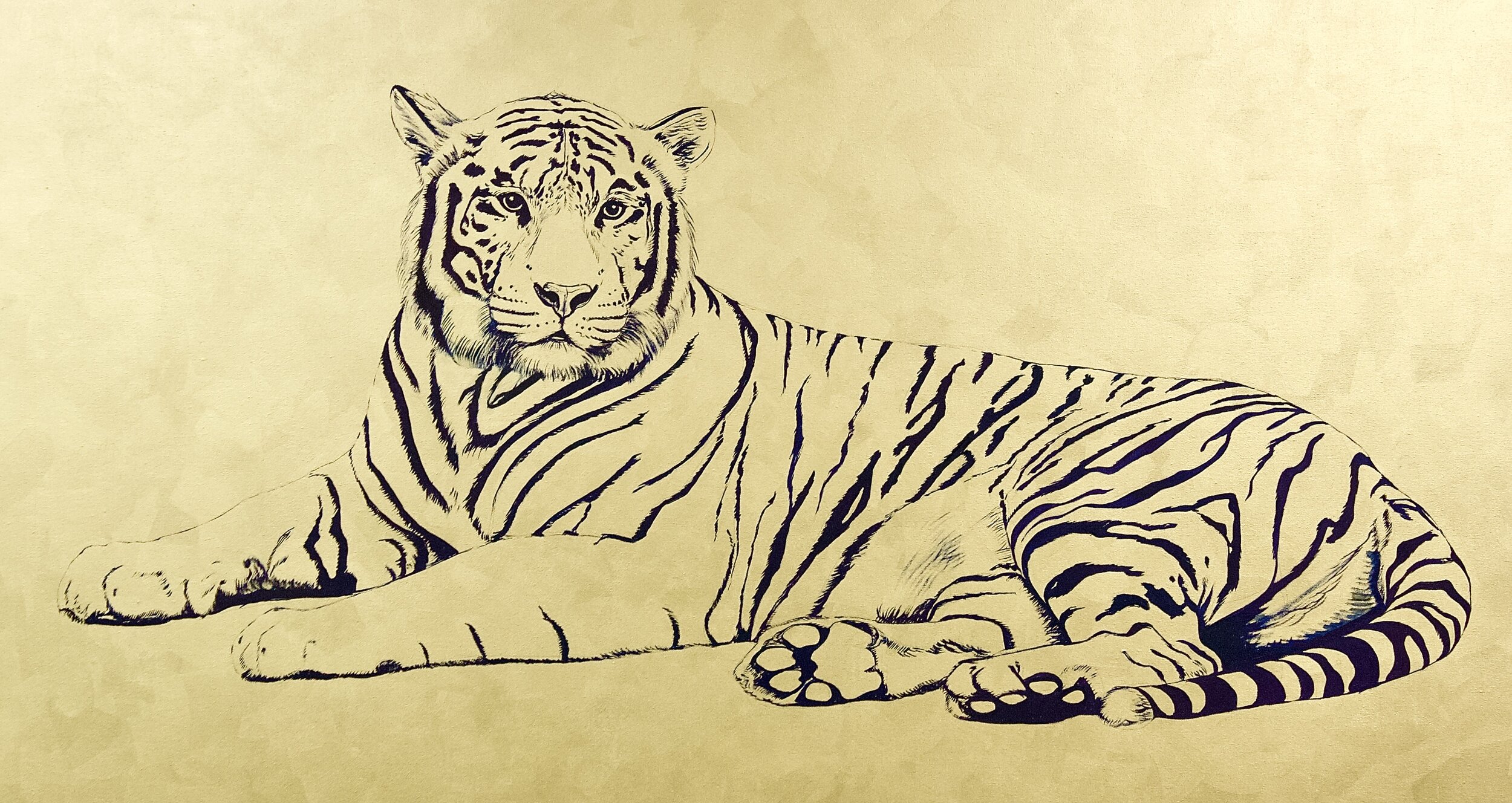 Endangered Species Series | Bengal Tiger