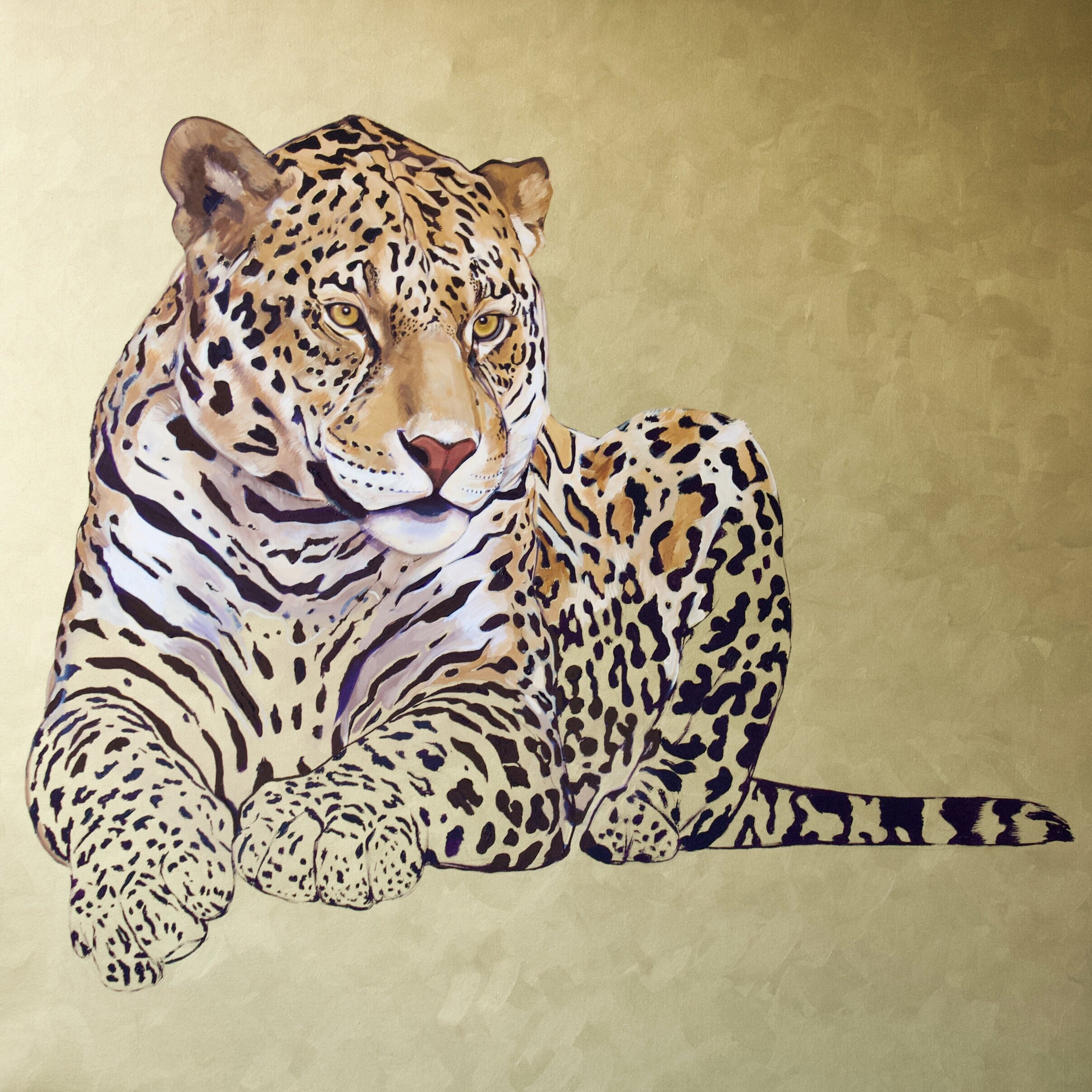 Endangered Species Series | Jaguar