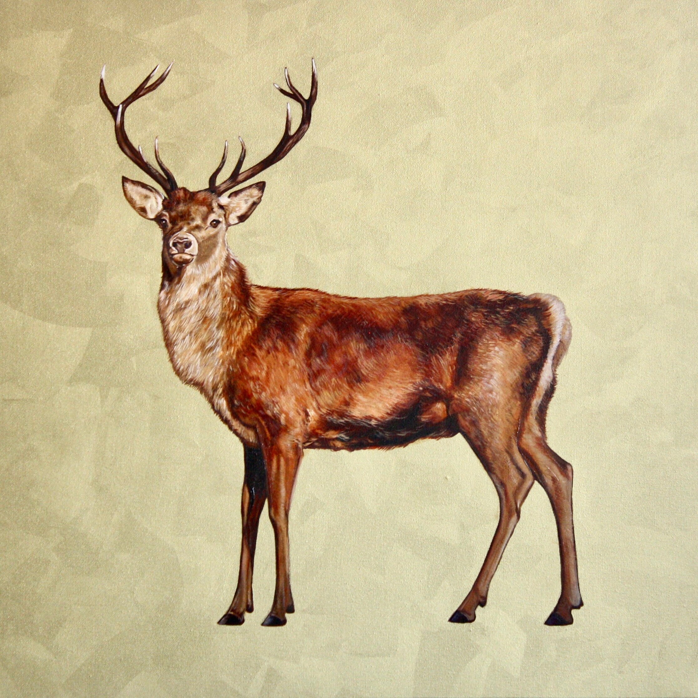 Stag I