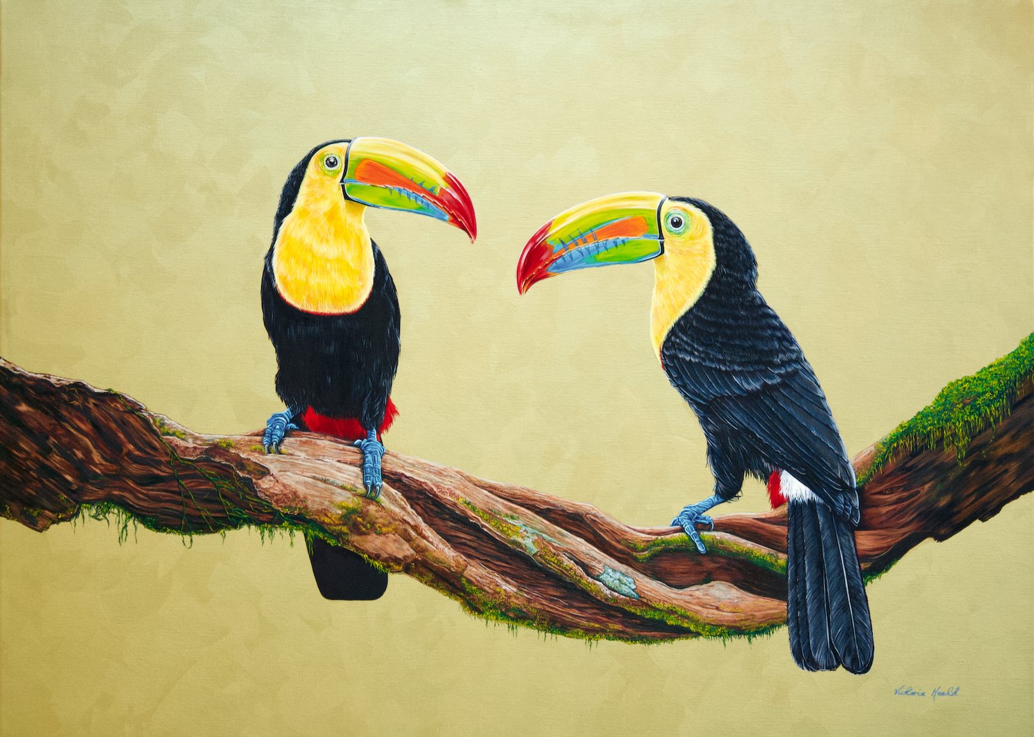 Two Keel-Billed Toucans