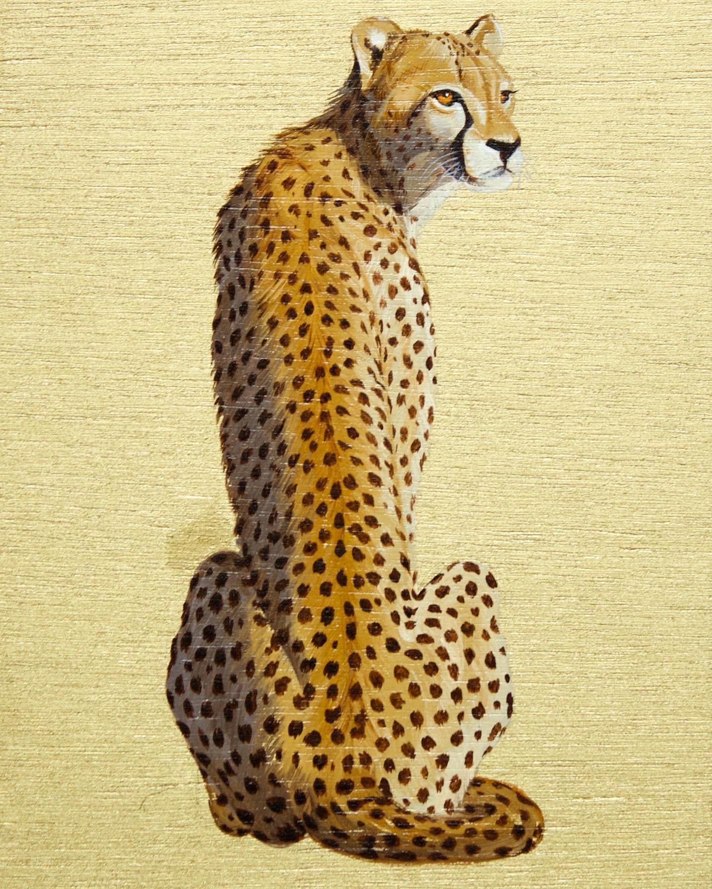 Big Cats: Cheetah