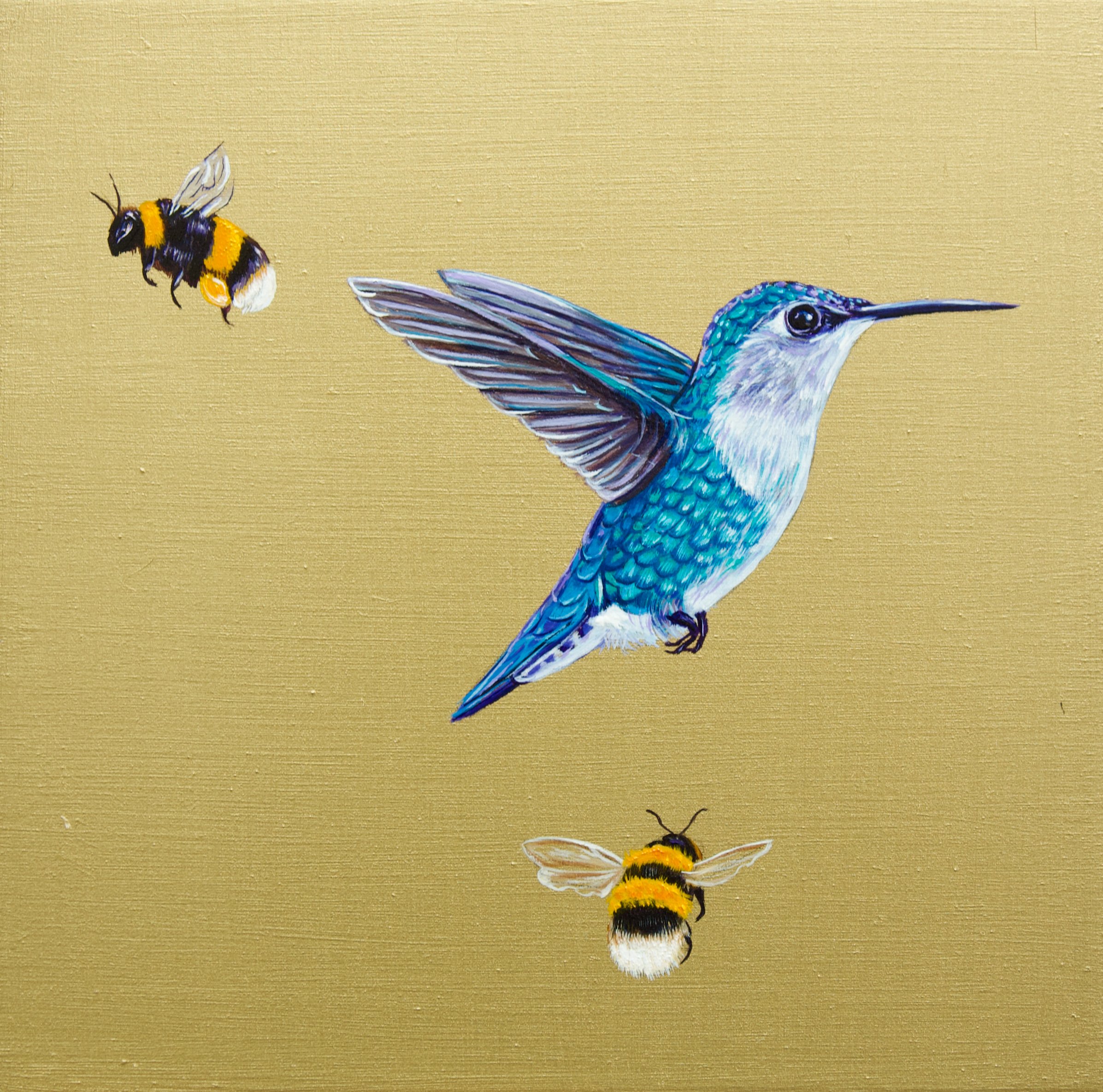 Bee Hummingbird with Bees III