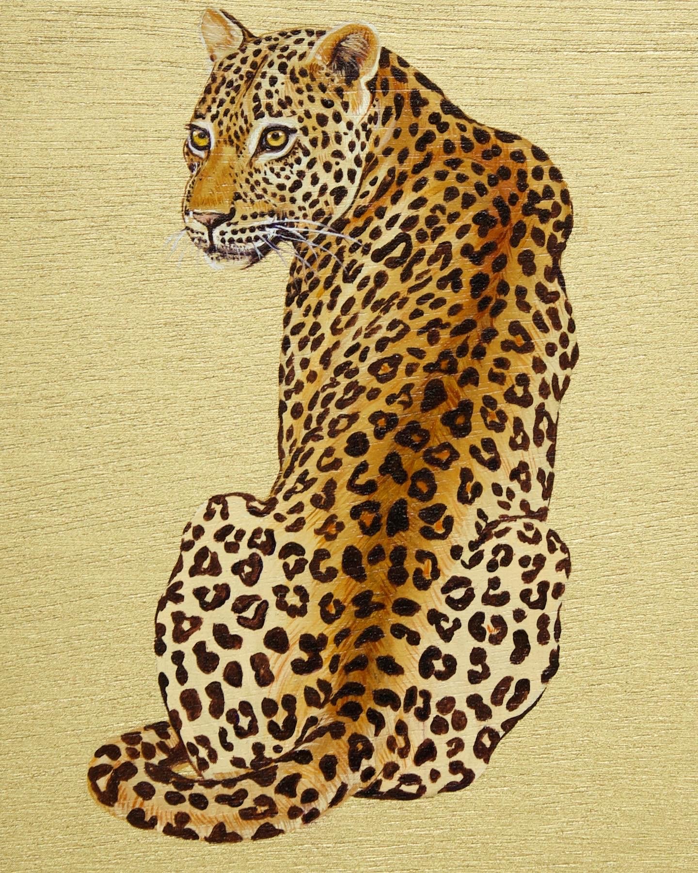 Big Cats: Jaguar