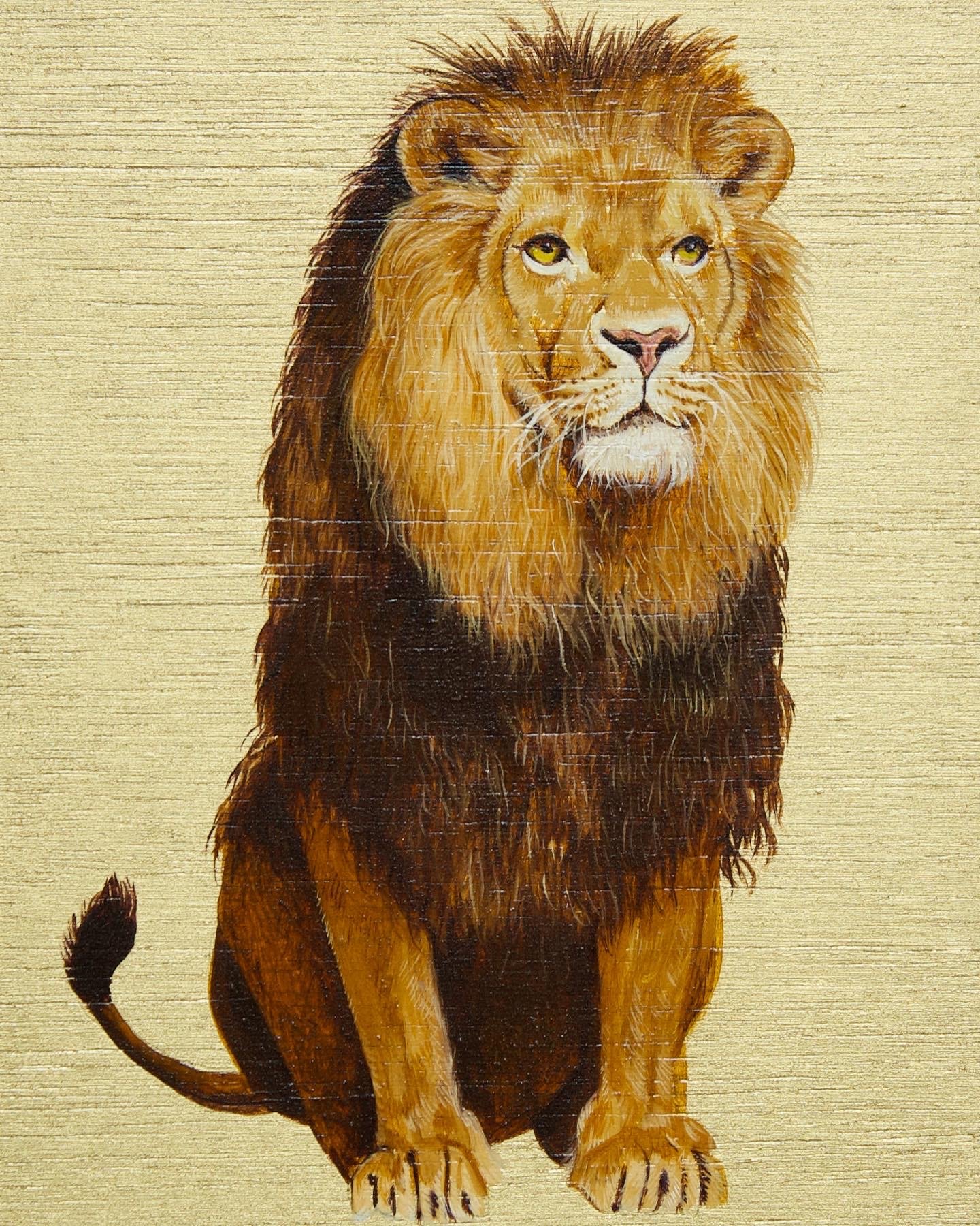 Big Cats: Lion