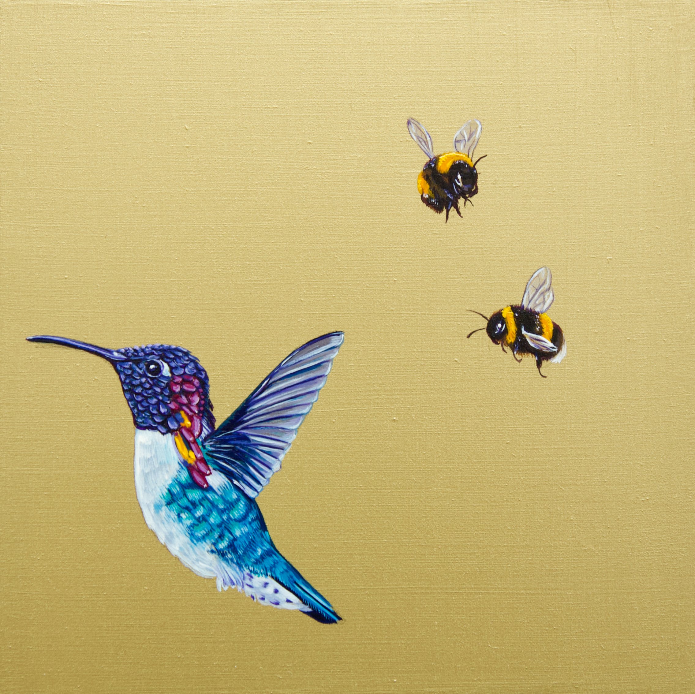 Bee Hummingbird with Bees I