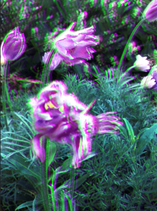 unnamed-2.png