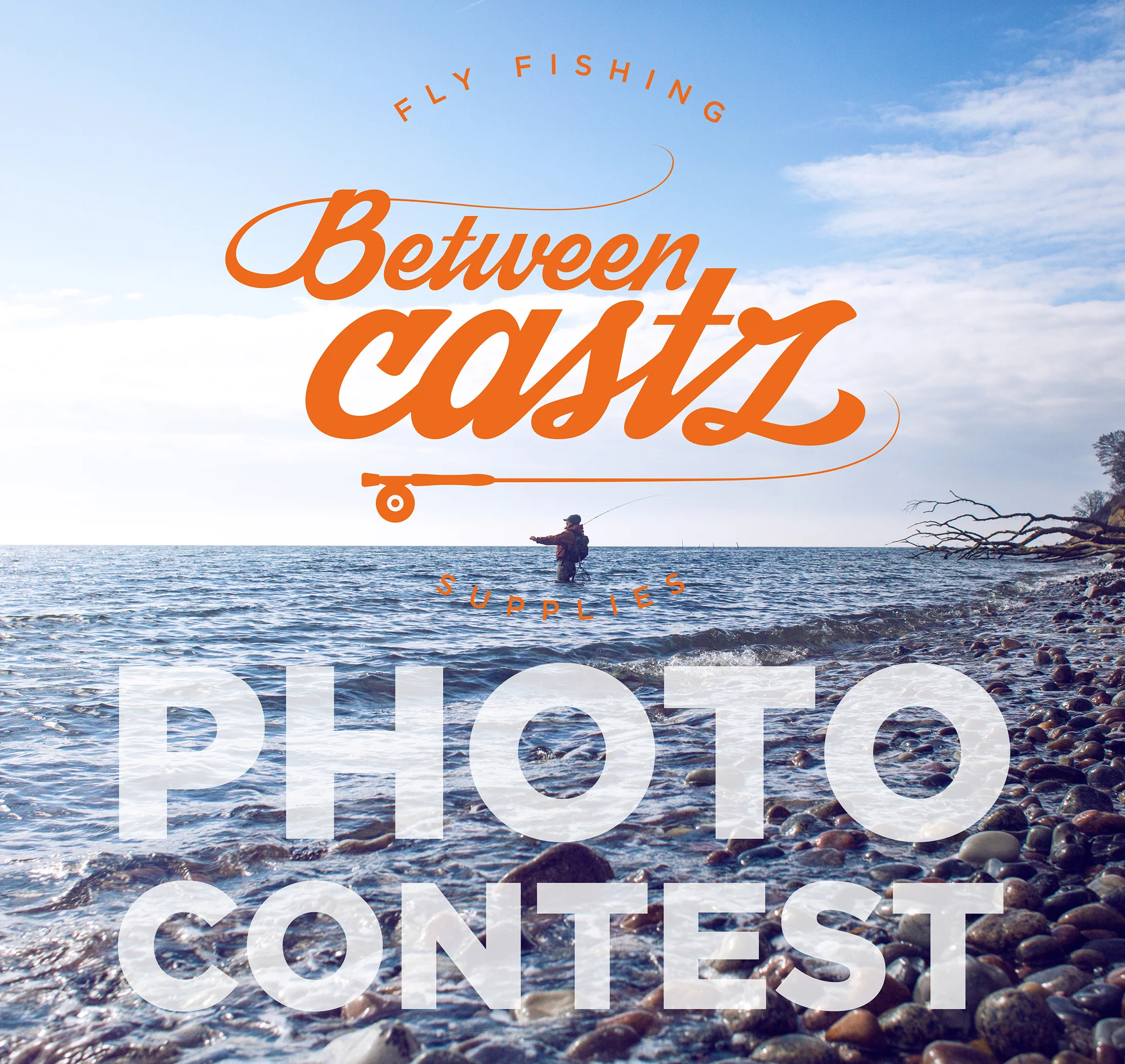 Photo contest.jpg