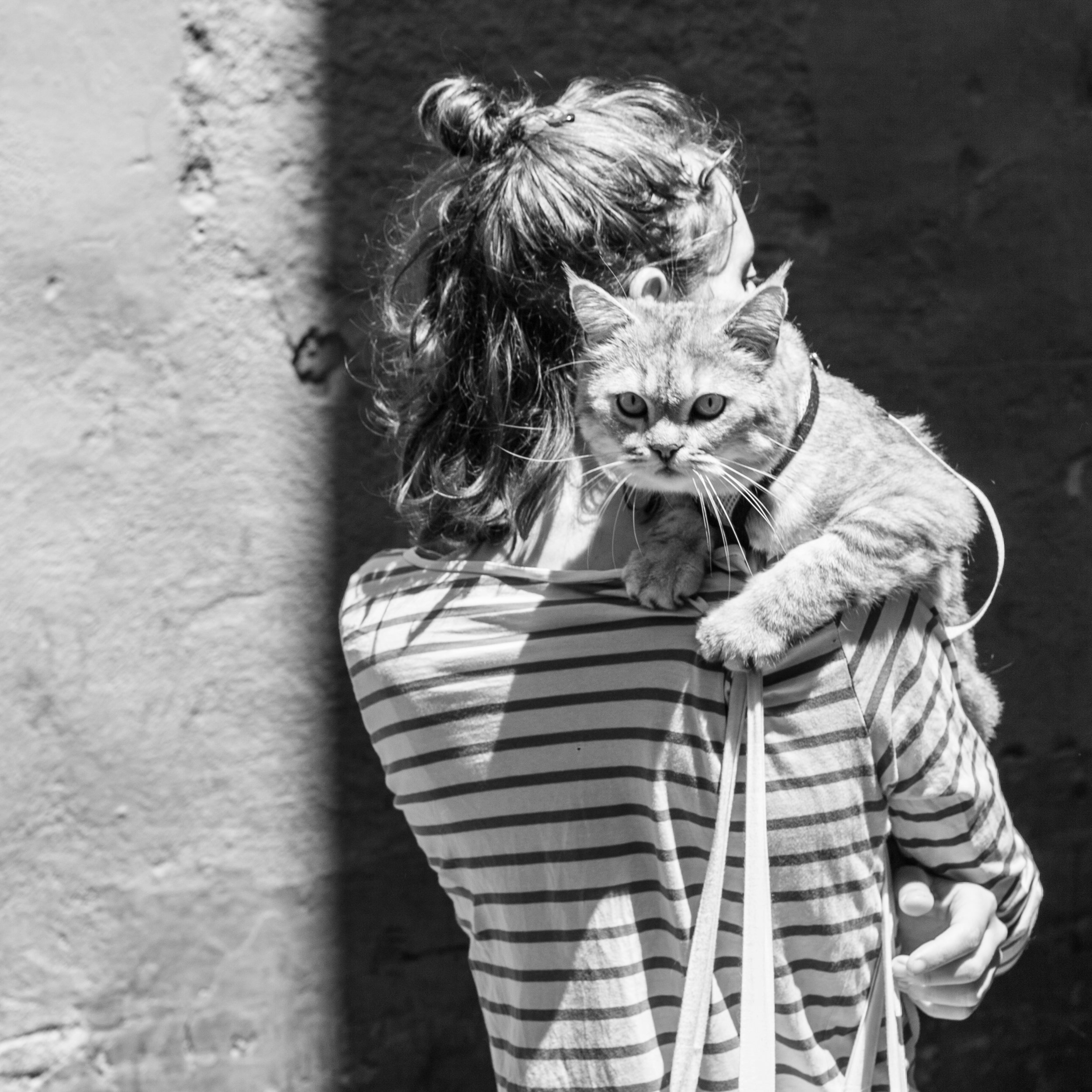 A woman and her huge cat pet in Barcelona.