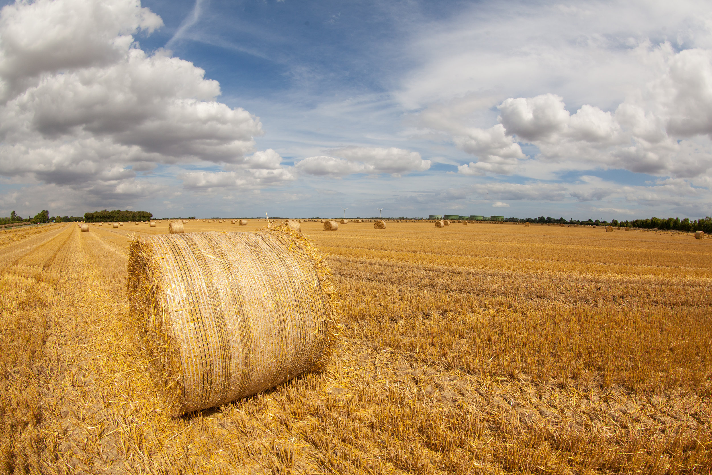 Hay bails in a field, summertime in England.