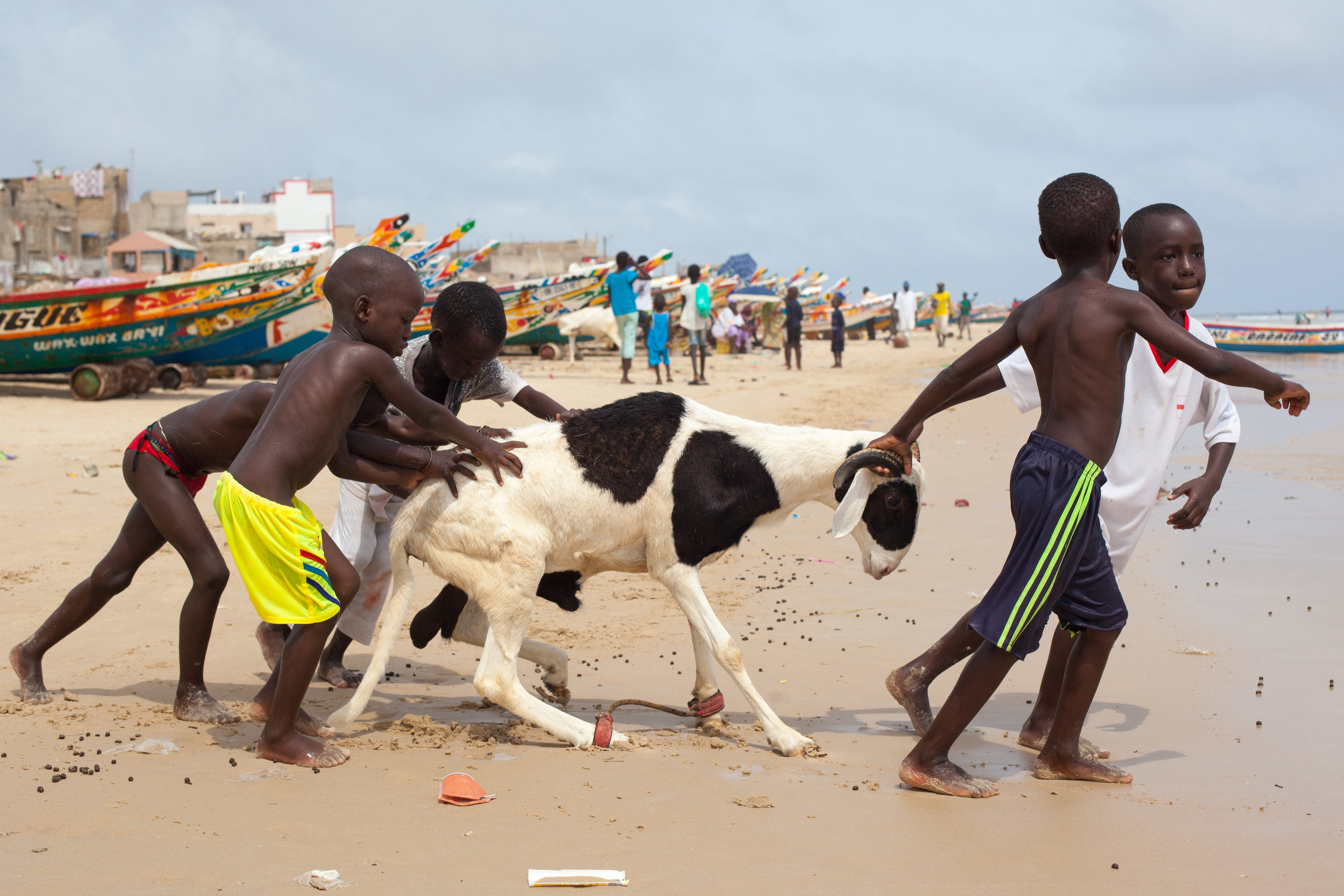 Children lead a sheep to the ocean for a wash in preparation of the Tabaski festival.  The Tabaski festival is known globally as the Eid al-Adha and is celebrated among Muslims worldwide.