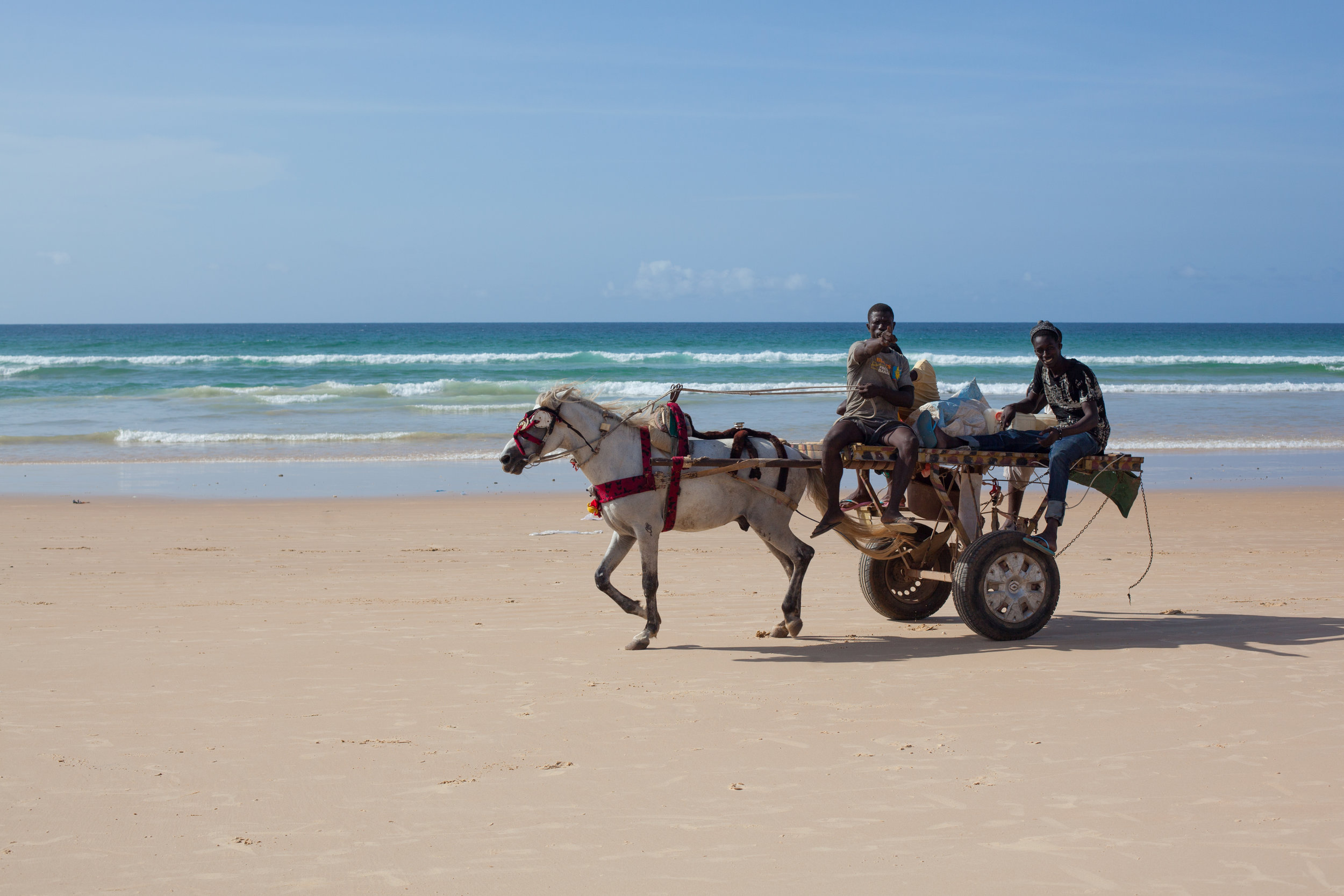 Horse and Carts are used in Senegal to transport people and produce up and down the hard packed sand beach of Yoff.