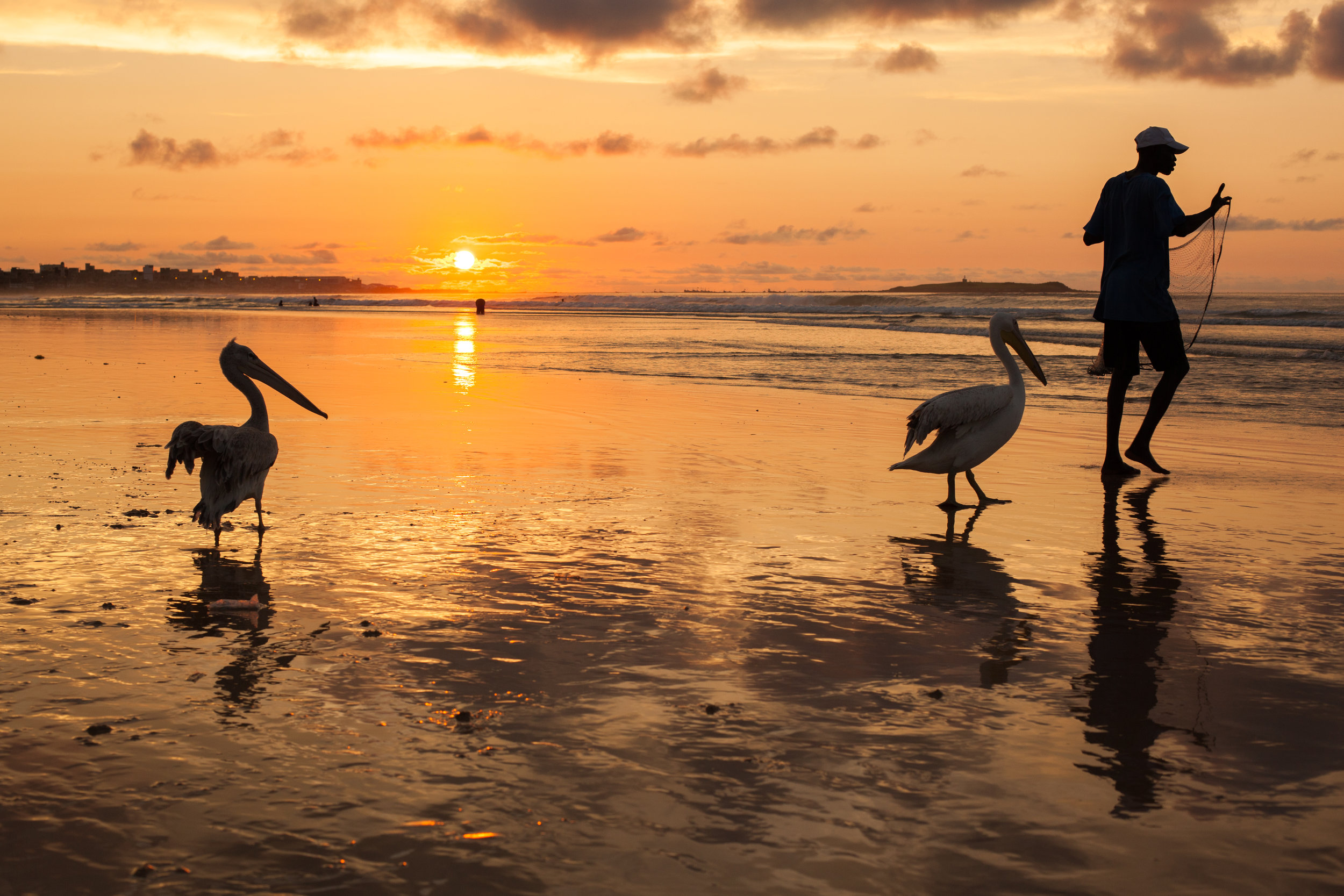 A fishermen and his pelicans at sunset in Senegal, West Africa.