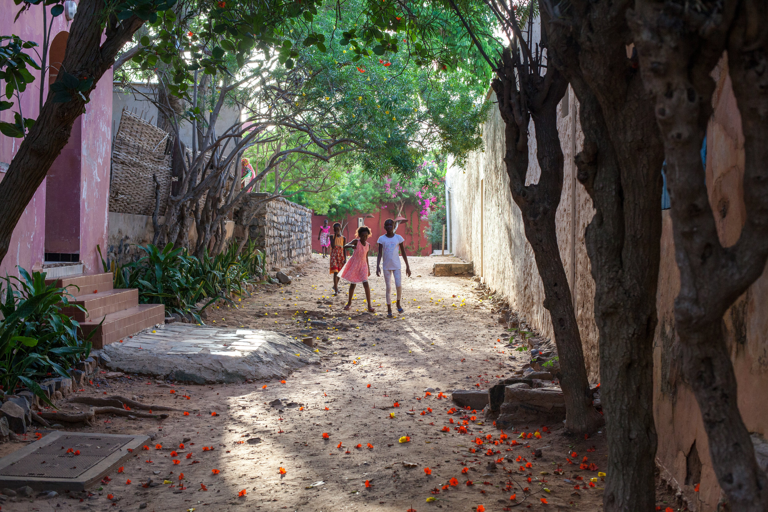 Beautiful backstreets on the Island of Gorée, Dakar, Senegal.