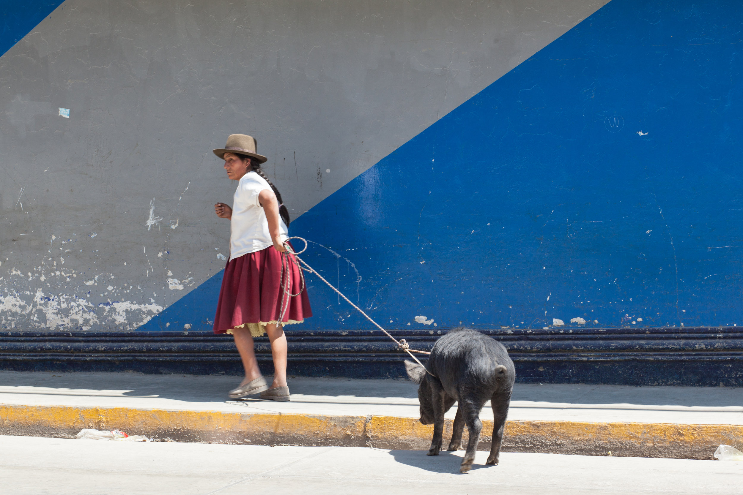 A woman leads her pig to the market in Andahuaylas.