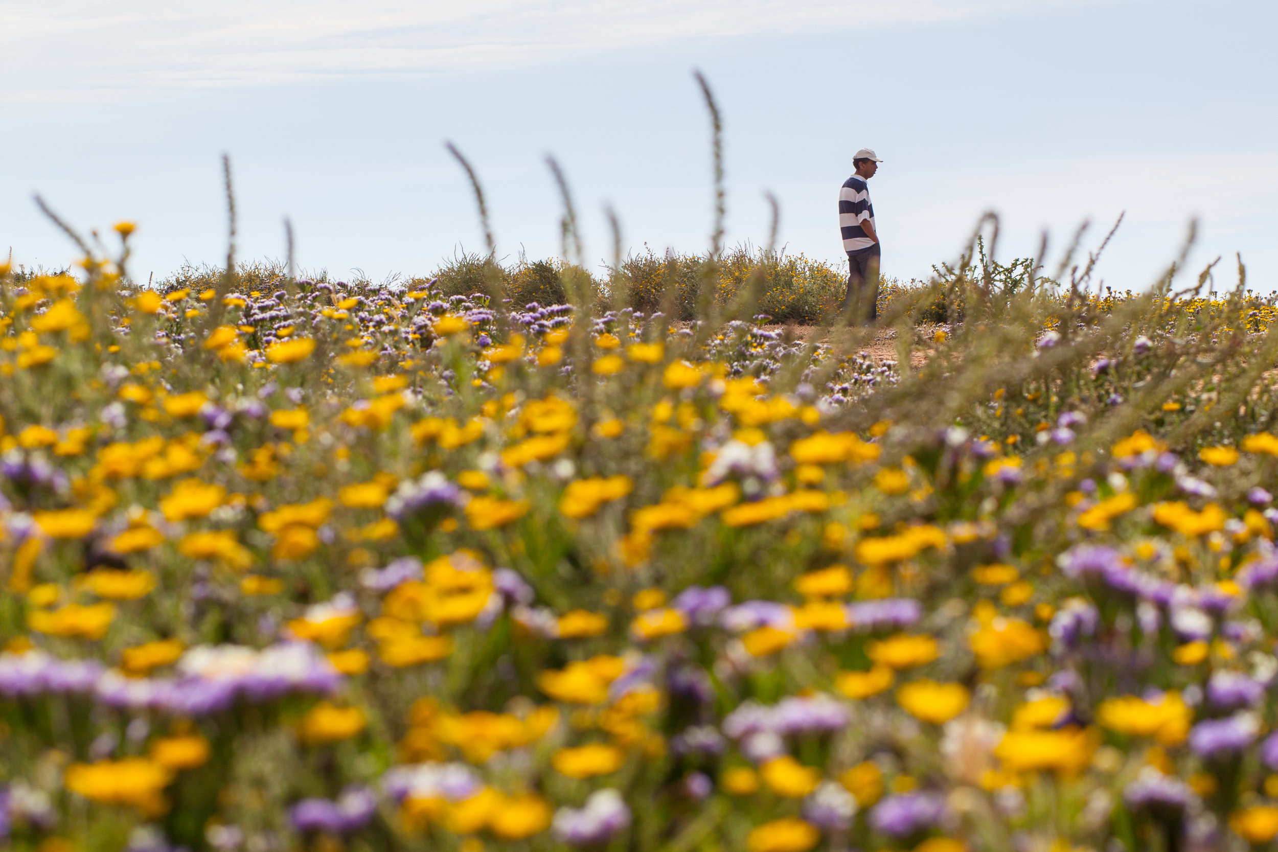 A local enjoys the view of the coastline from the colourful cliffs of Rabat.