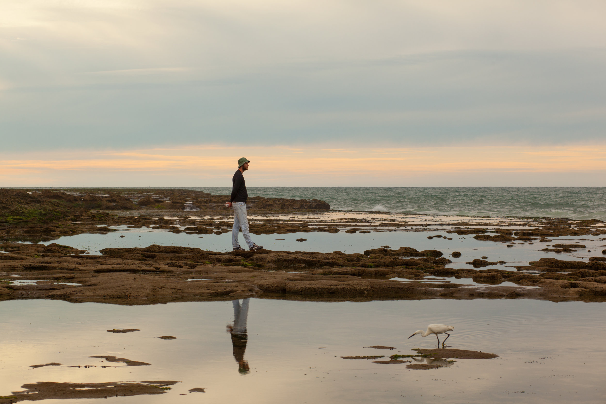 Nature and solitude in front of the Atlantic Ocean on the coastline close to the city of Rabat.