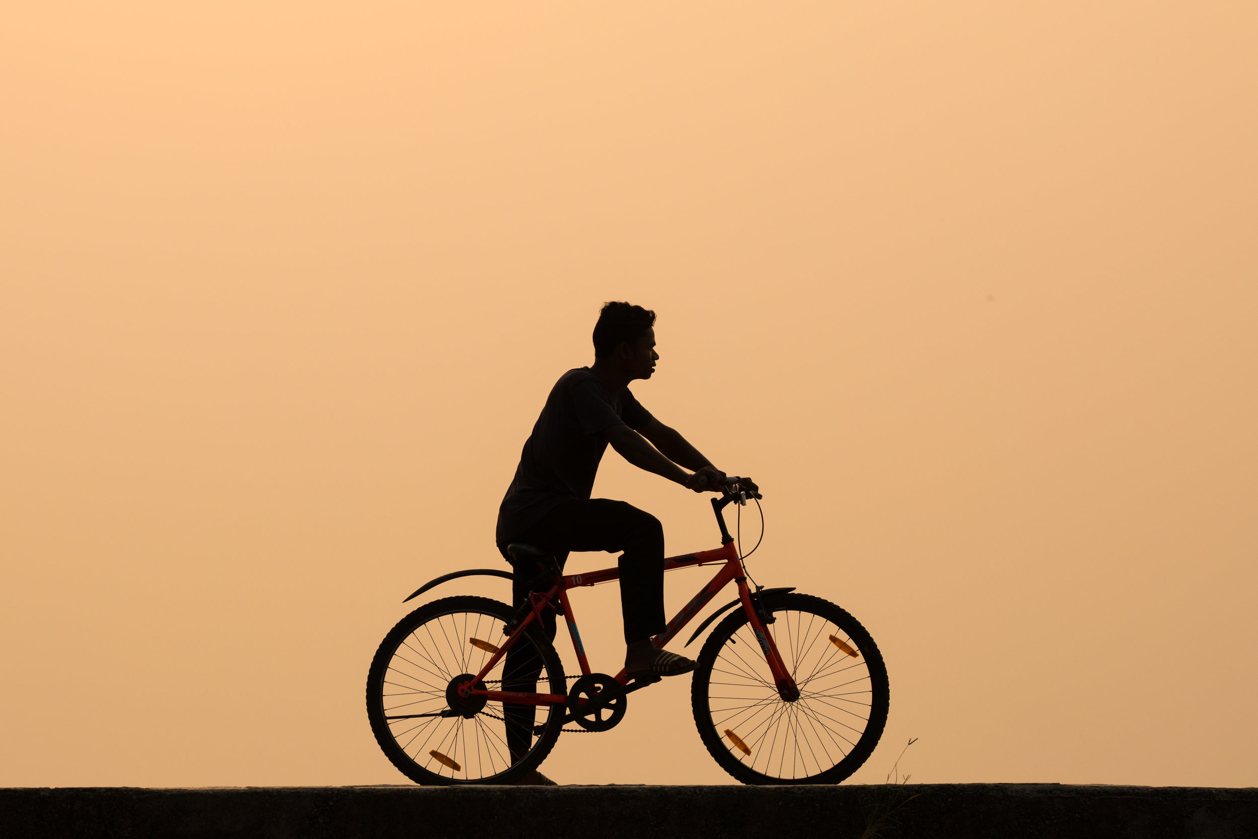 Silhouetted cycle at sunset, Kerala, India.
