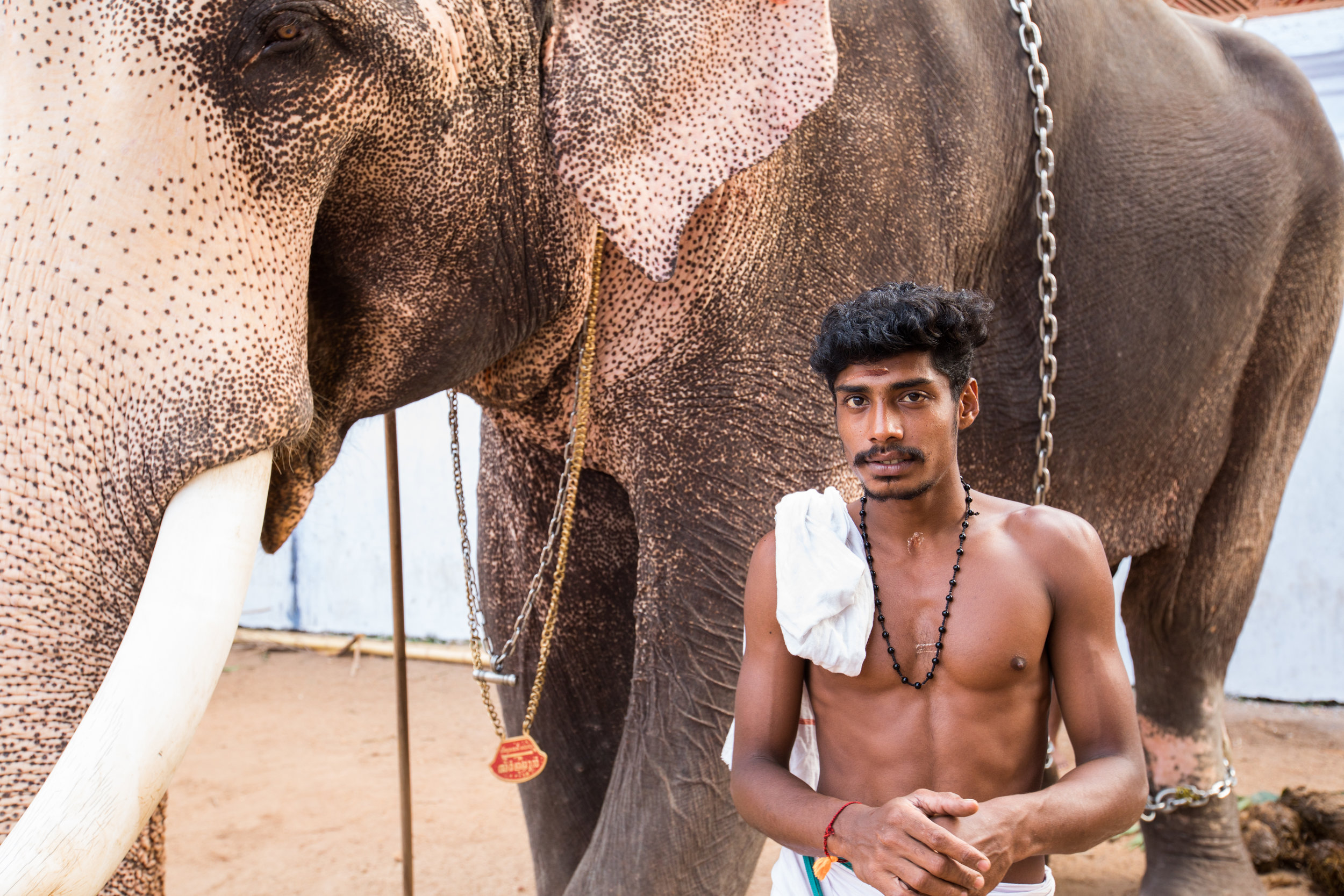 Indian Elephant Trainer Portrait.