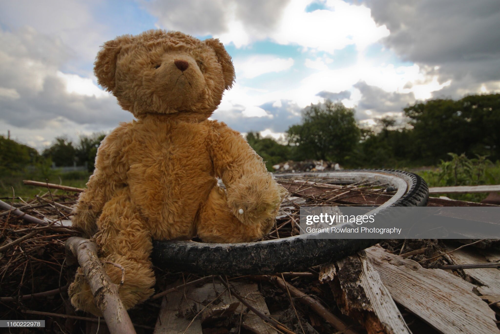 Teddy Bear &amp; Pollution, Wales.