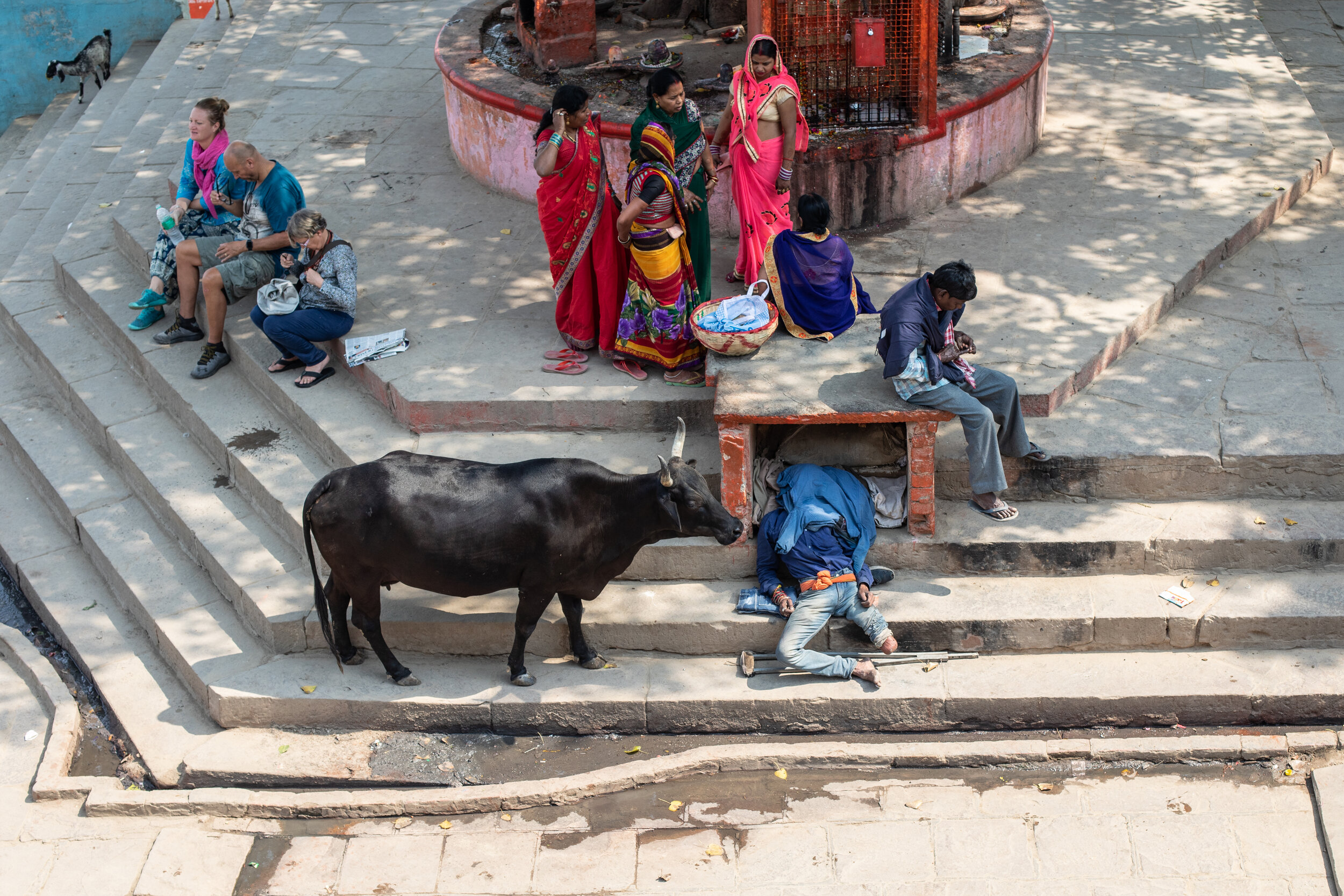 A very typical street scene in much of India.  Locals mix with tourists, a homeless man and a large cow in Varanasi.  