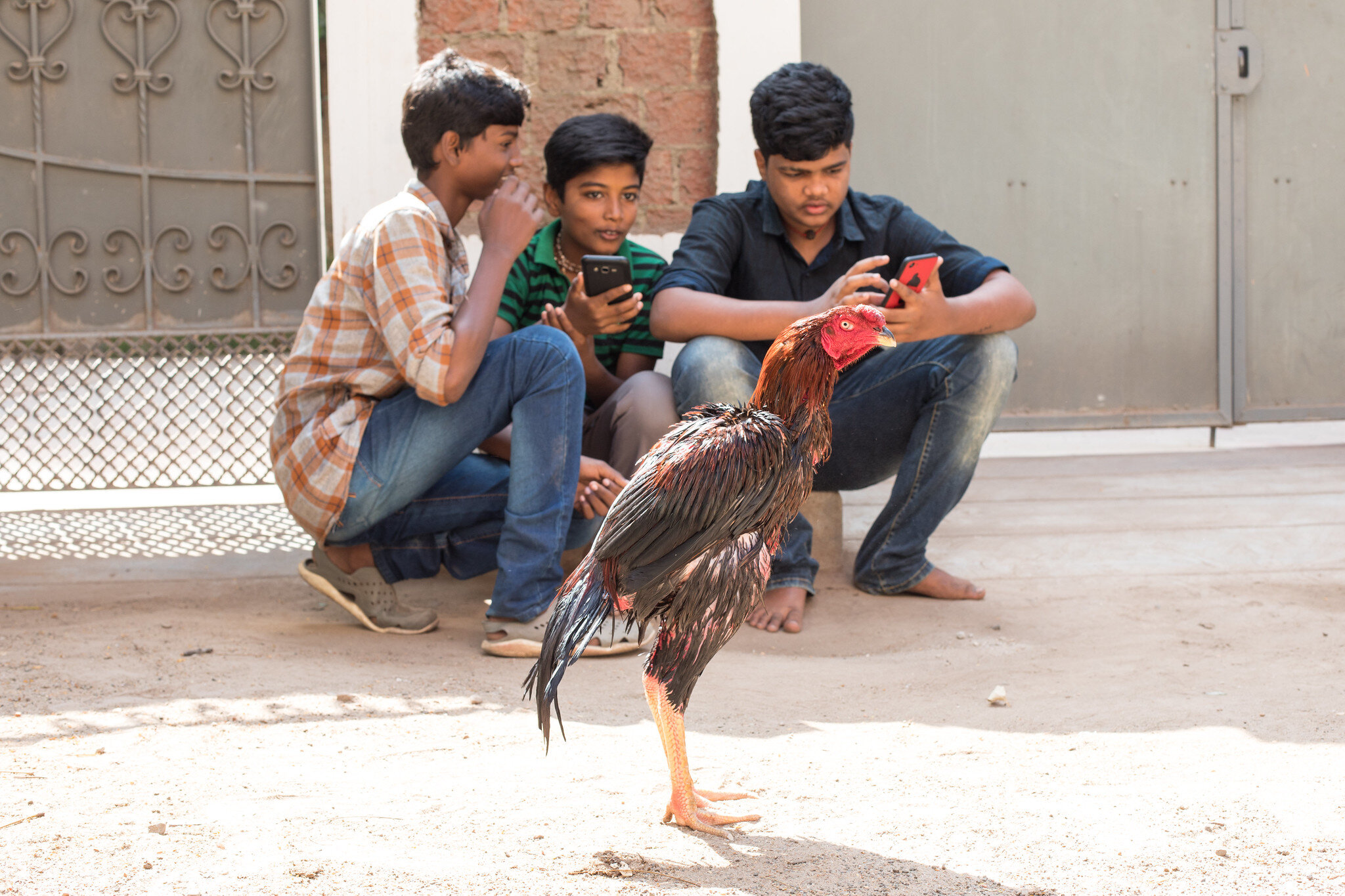 Street photographs often evoke an emotion such as humour in this image of children on their mobile phones behind a large chicken on the streets of Madurai.