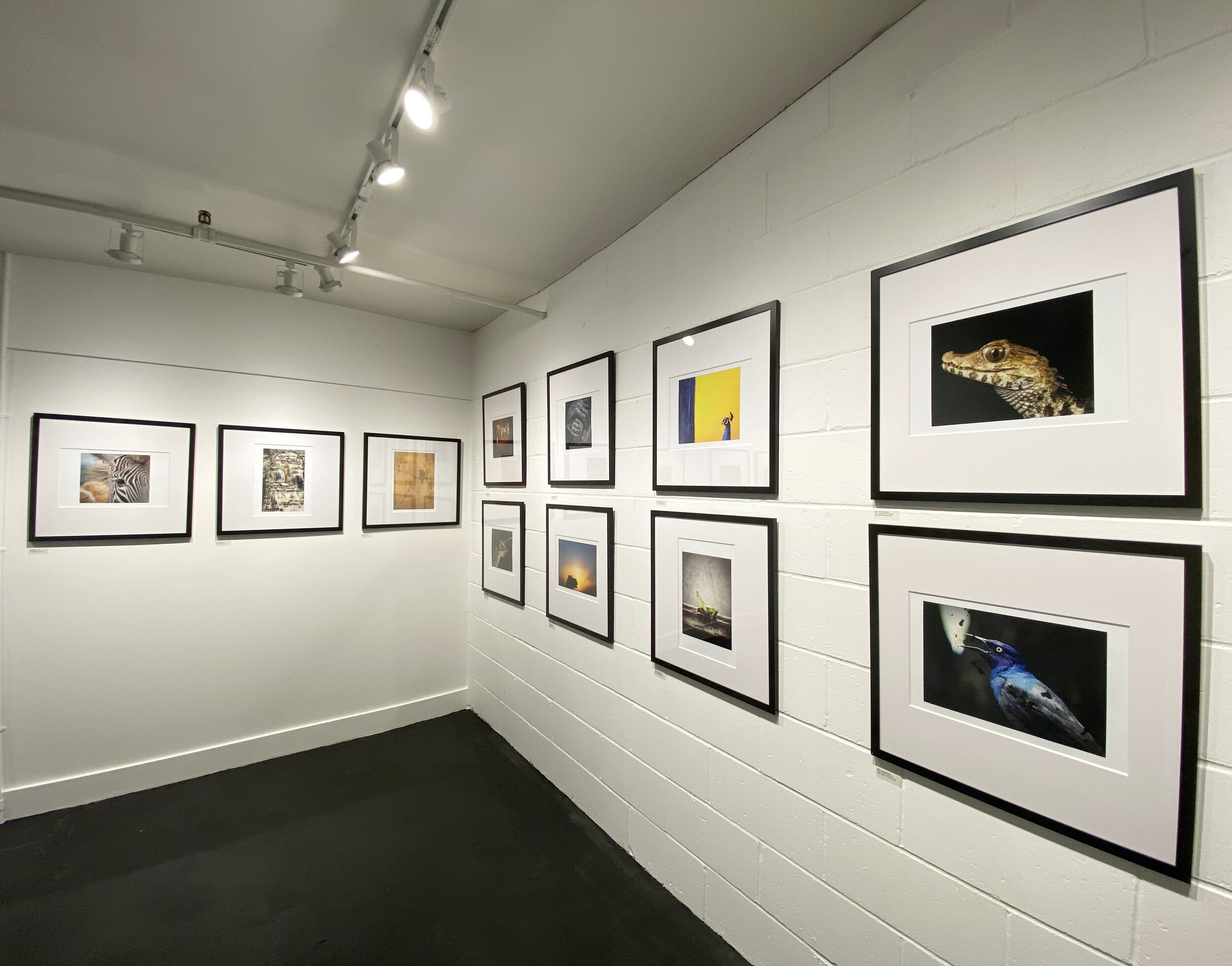 Praxis Photo Art Centre &amp; Gallery