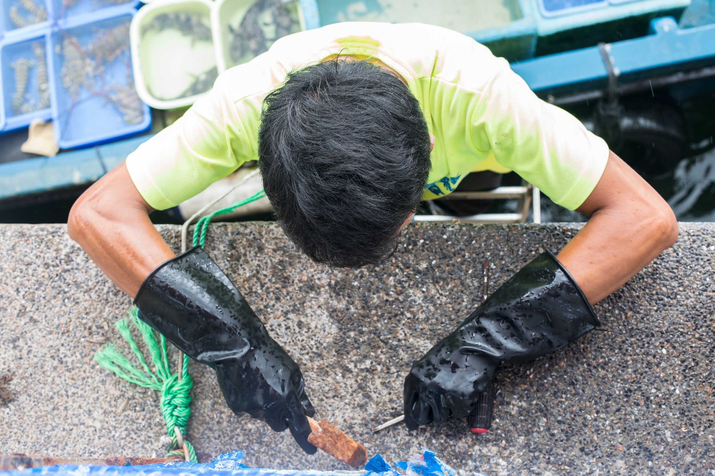 Candid fisherman photography in Hong Kong