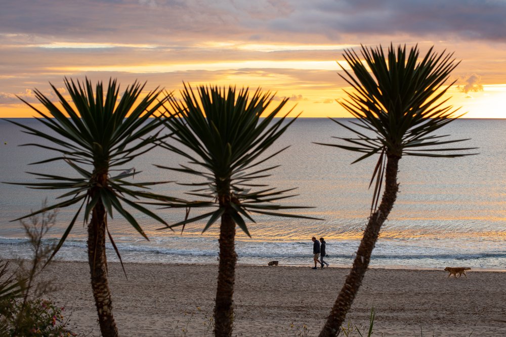 Dog walkers on the beach of Mil Palmeras in Spain