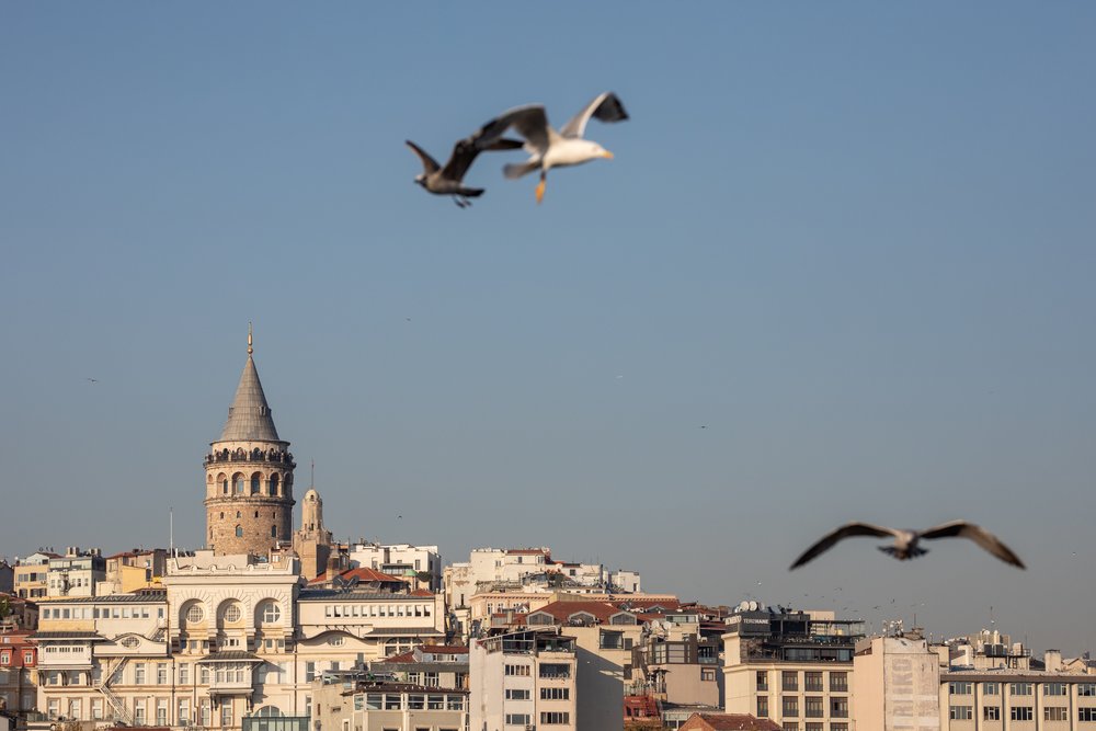 Views to Galata Tower in Istanbul