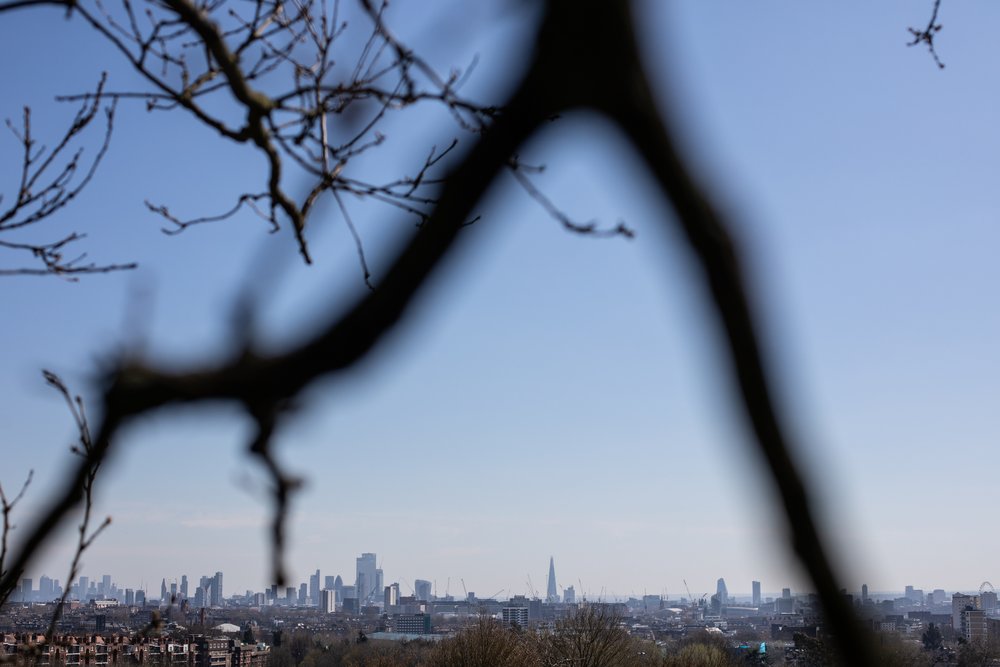 The skyline of London viewed from the Parliament Hill Viewpoint in Hampstead Heath. 