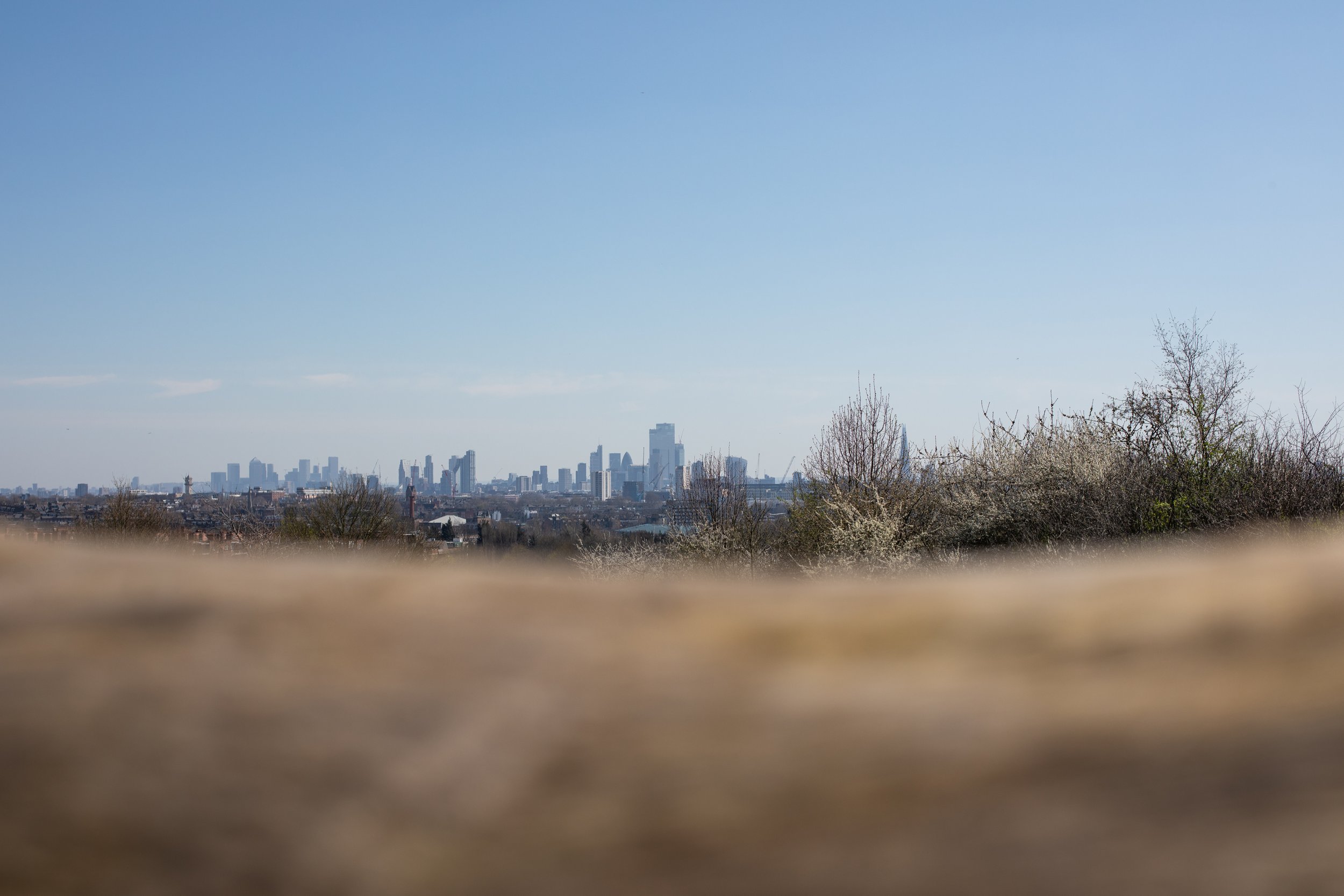 Skyline of London viewed from Hampstead Heath.