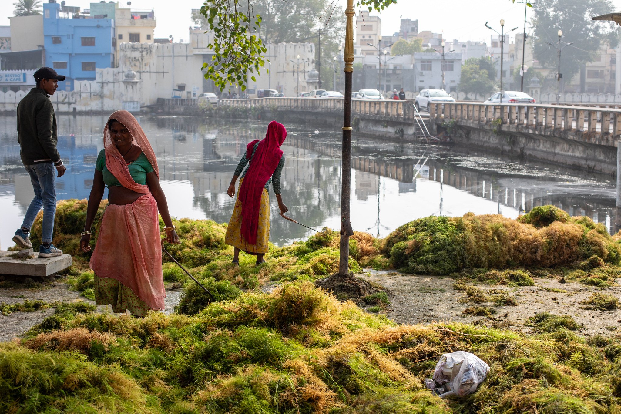 De-weeding the Lakes, Udaipur