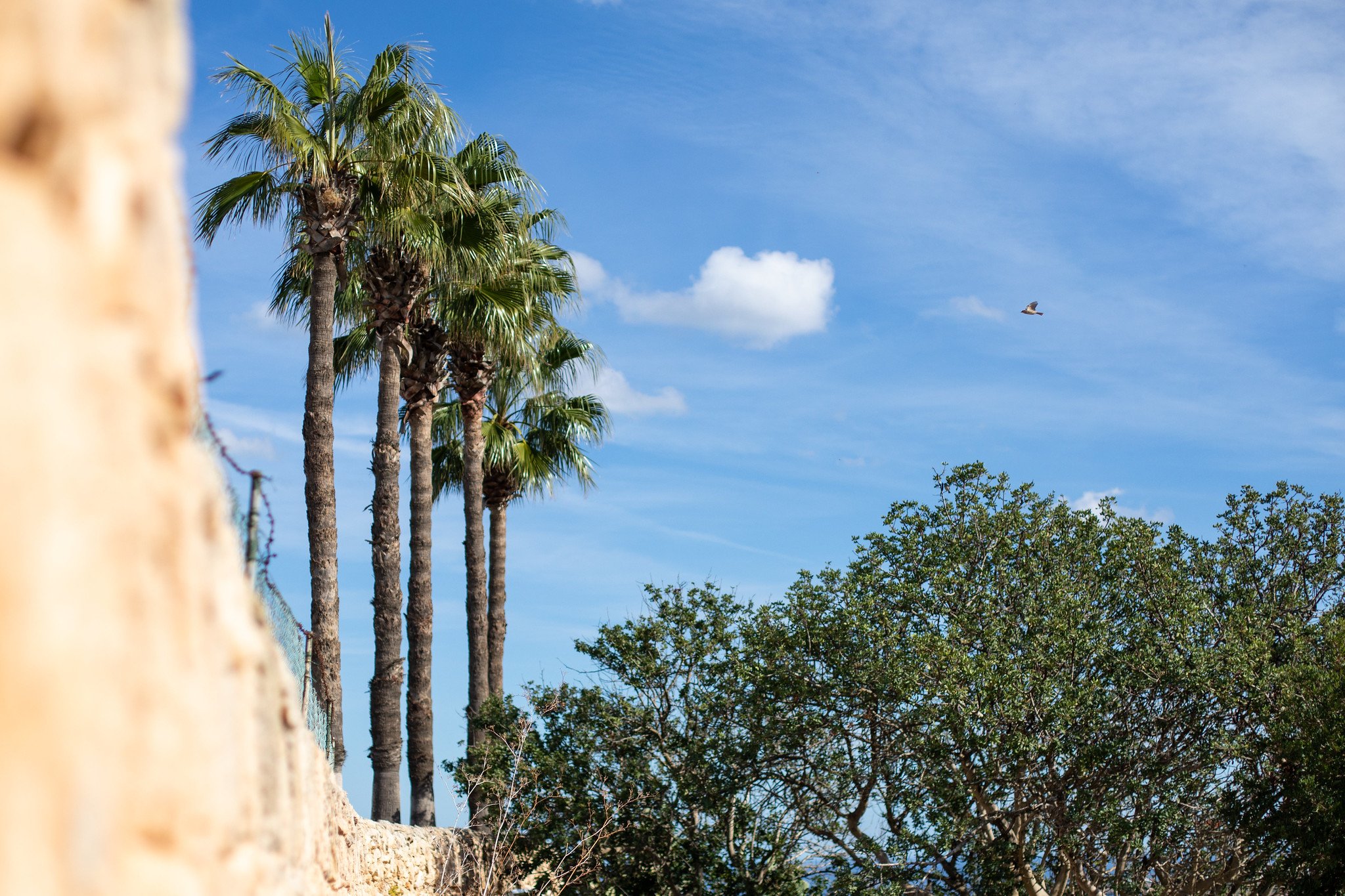 North Malta Landscape