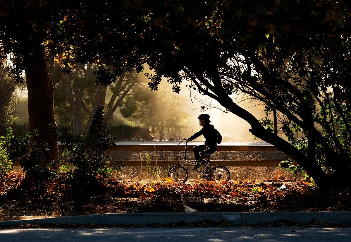 Riding the Street: Judging the #RidingABike_2026 Street Photography Challenge