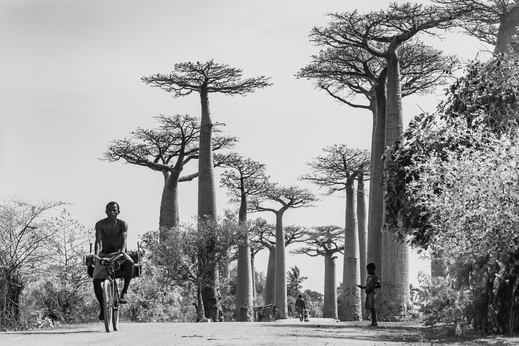 International Street Photography 