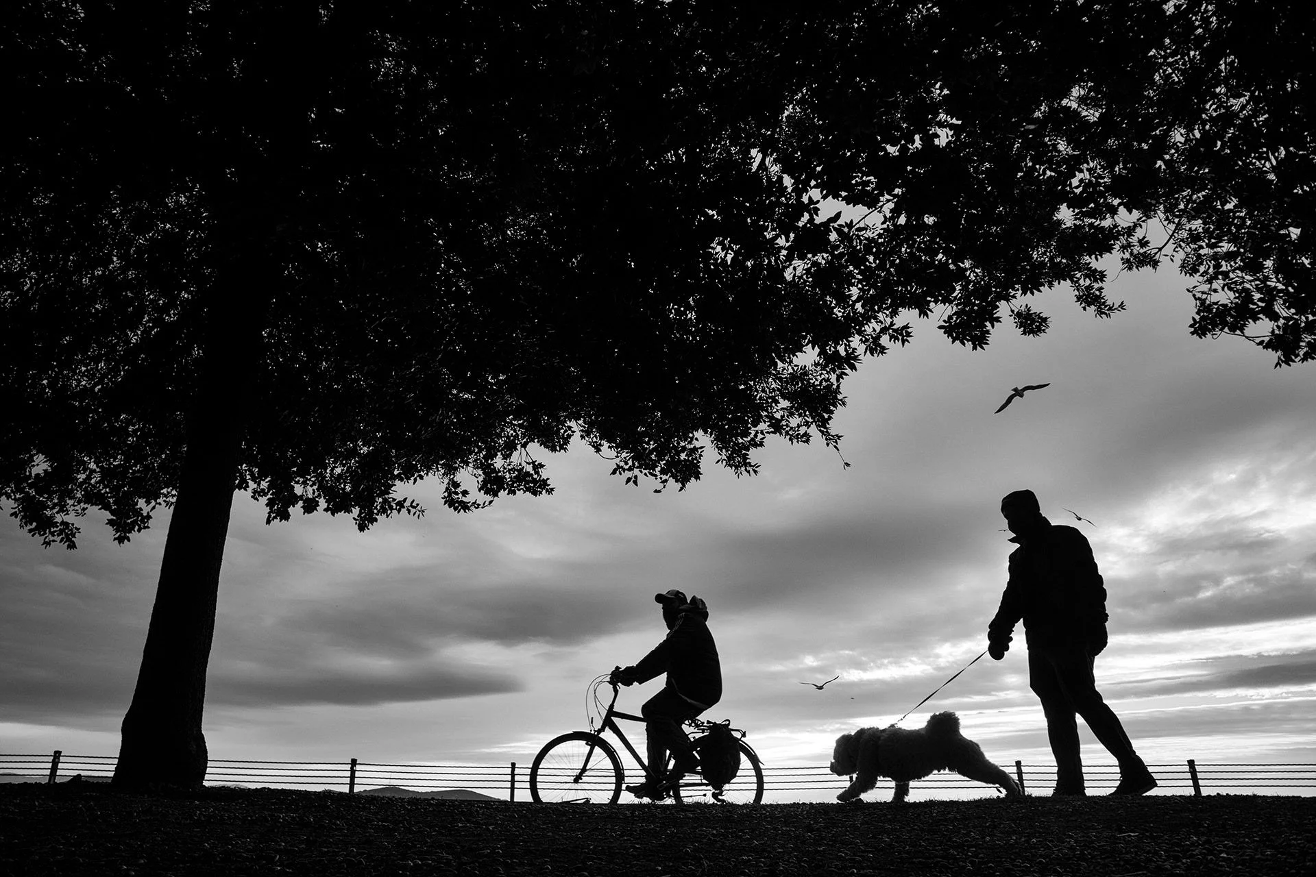 #RidingABike_2026 Street Photography Challenge BW Winner