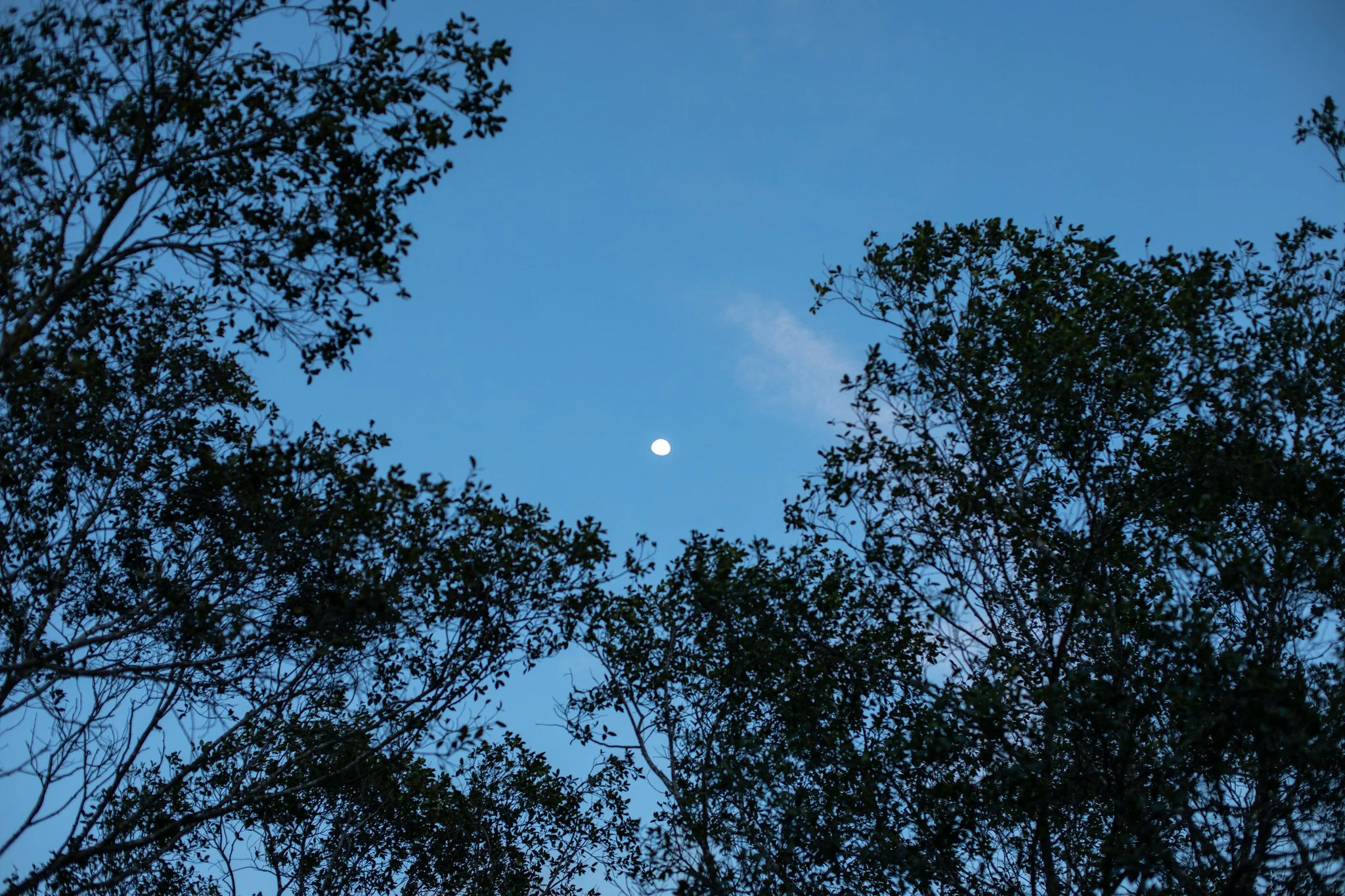 Framed Moon, Mellieha, Malta