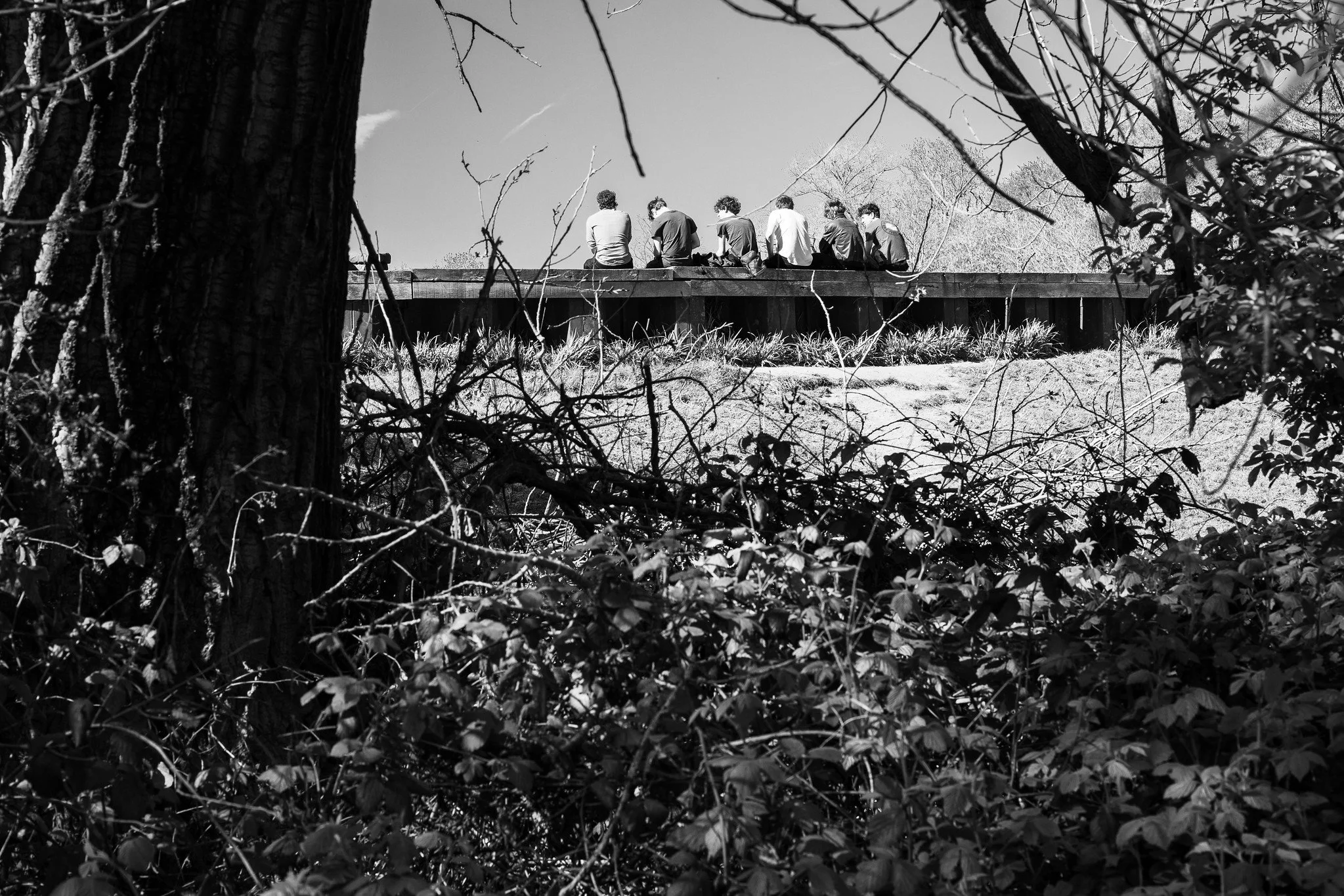 Friendship on on Hampstead Heath, London Park Vibes