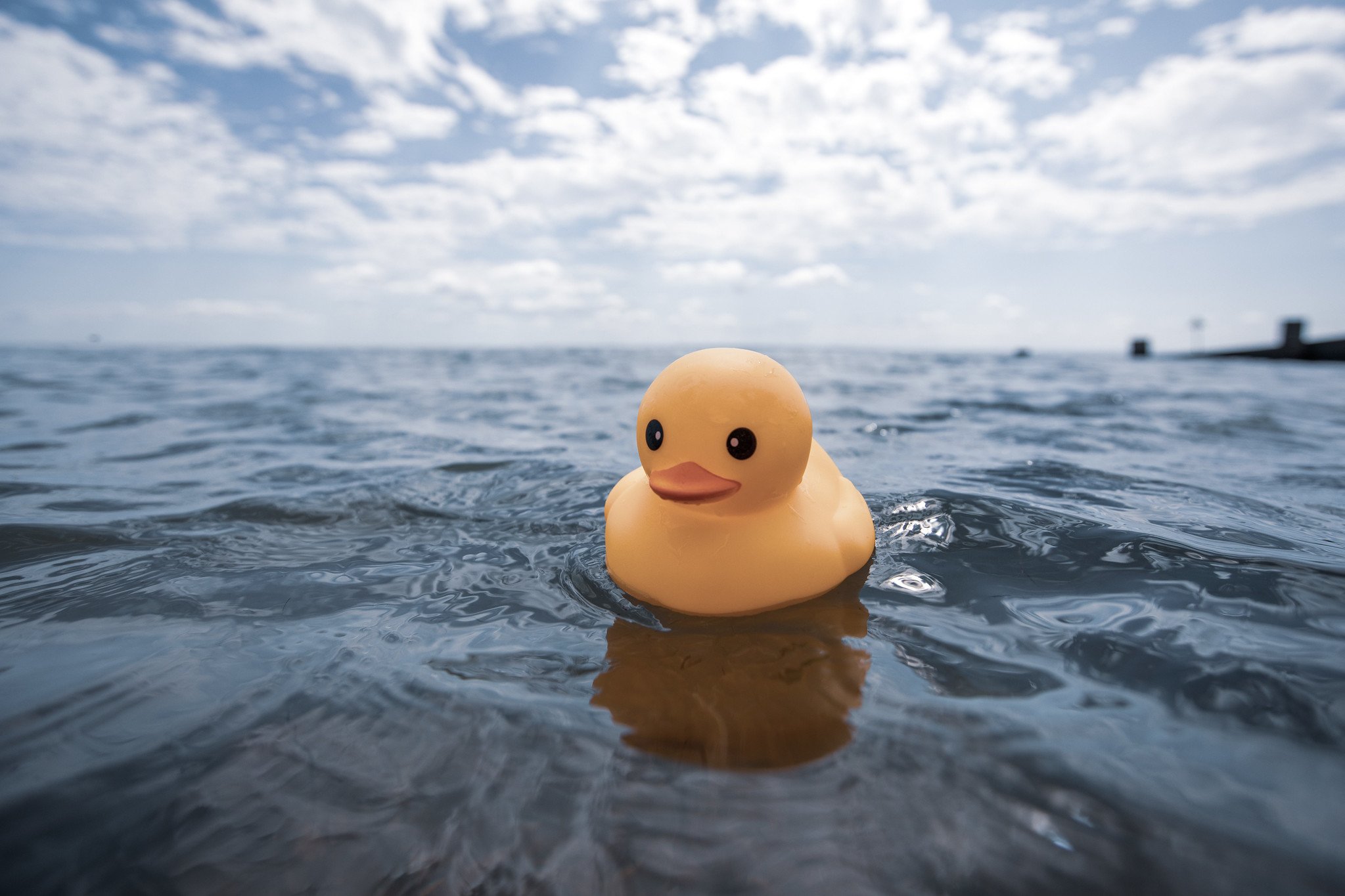 Bath Duck, Down by the Sea