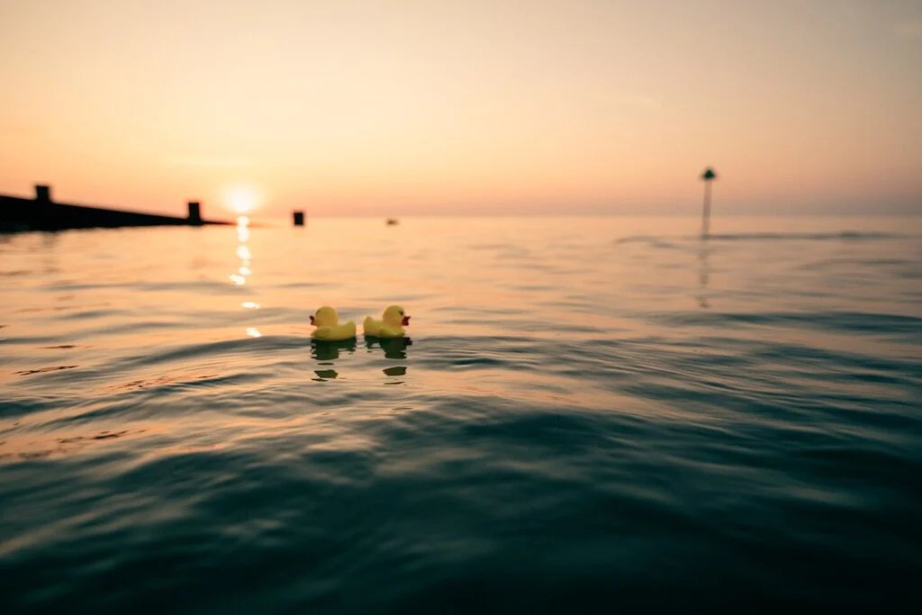 Back to Back Ducks, Lost At Sea
