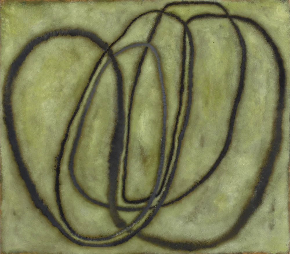 Seaweed