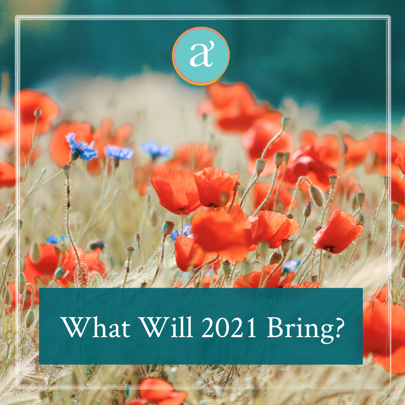 What Will 2021 Bring?