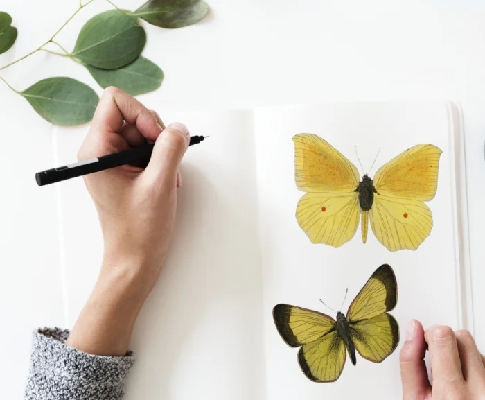 hobby butterfly painting.jpg