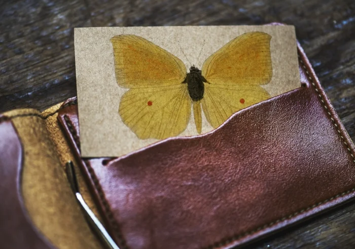 butterfly in wallet.jpg
