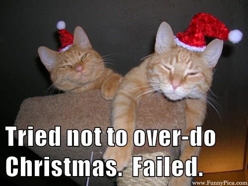 tried not to overdo christmas.jpeg
