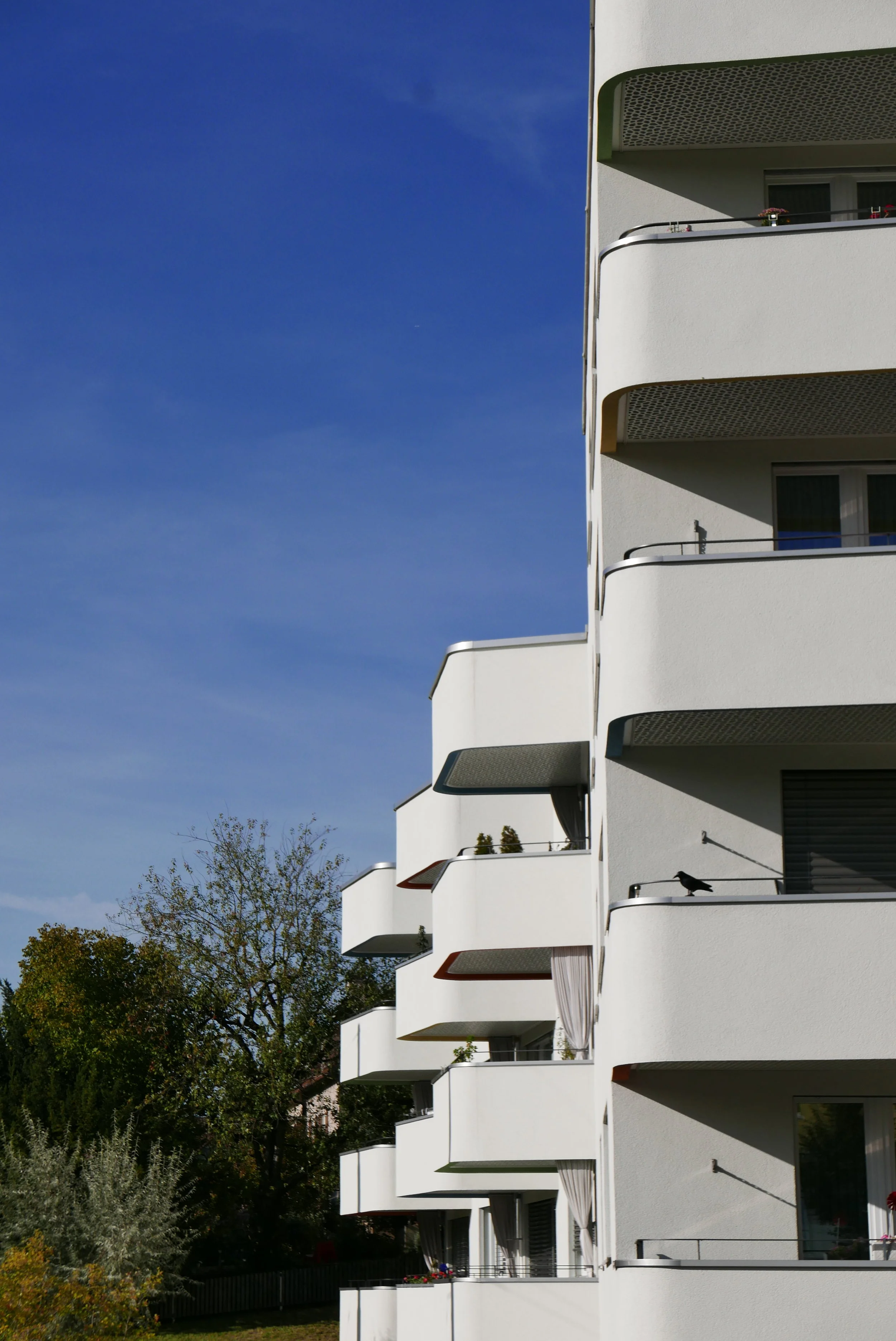L1050670.JPG