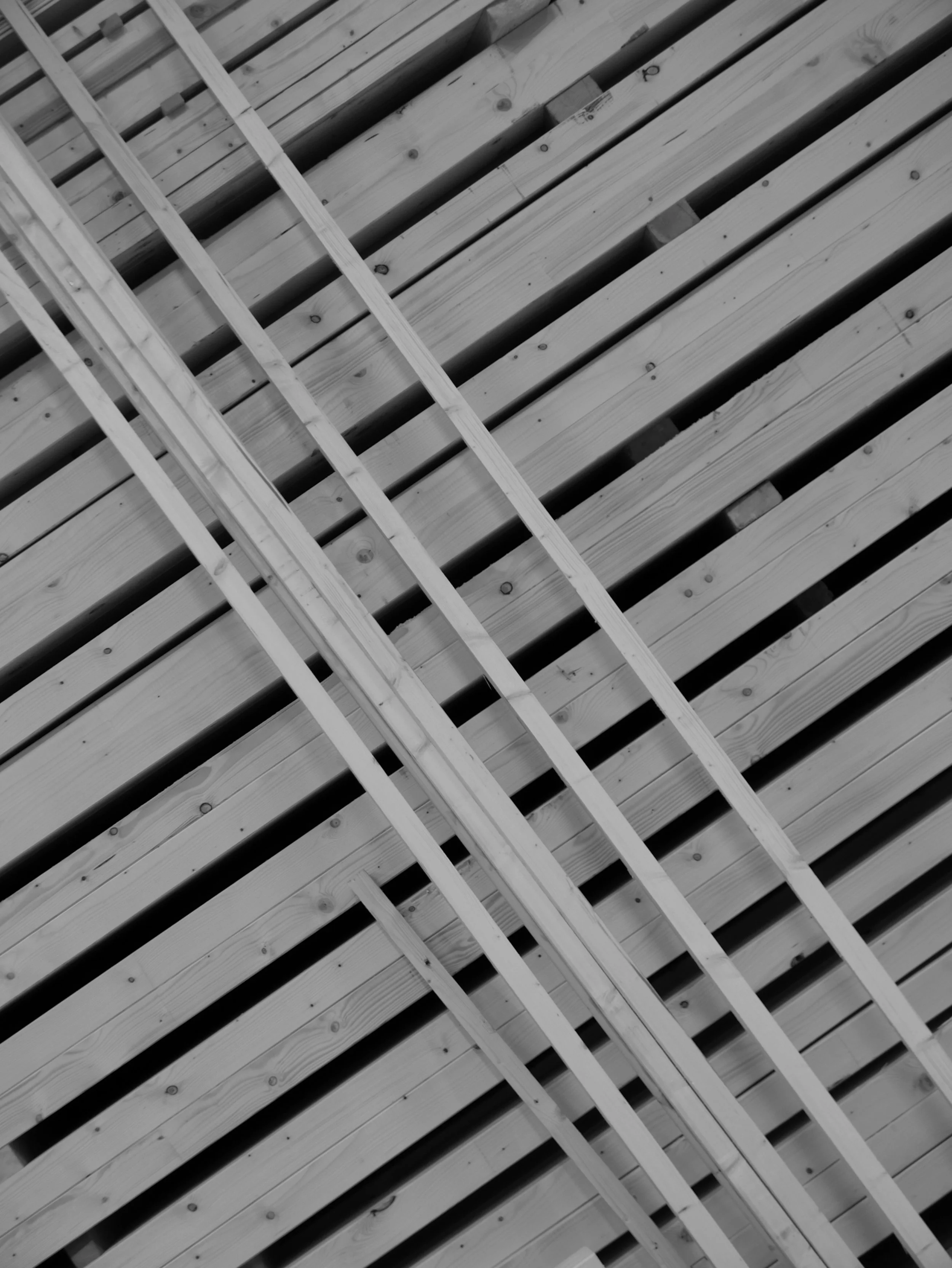 L1050485.JPG