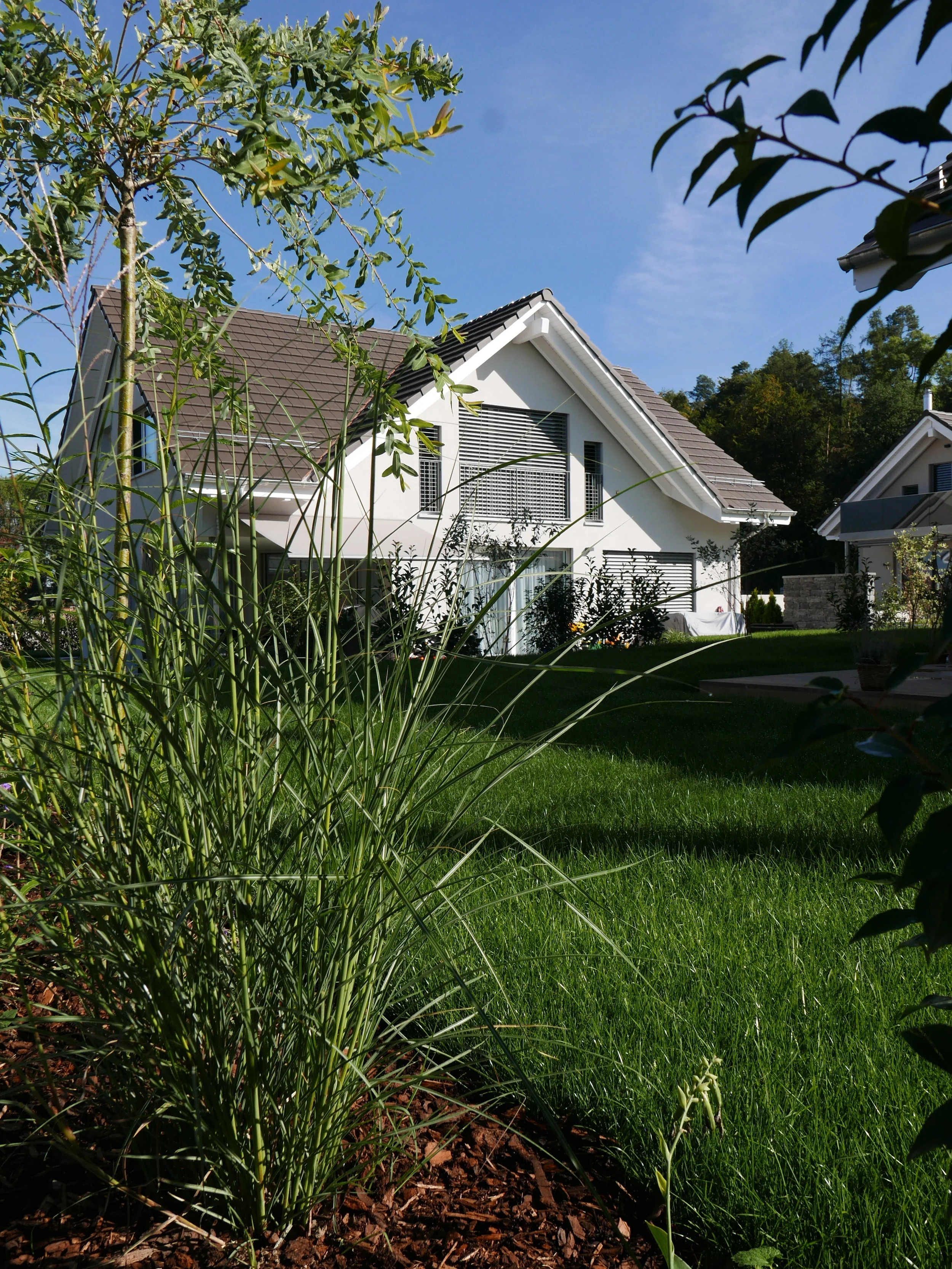 L1050569.JPG