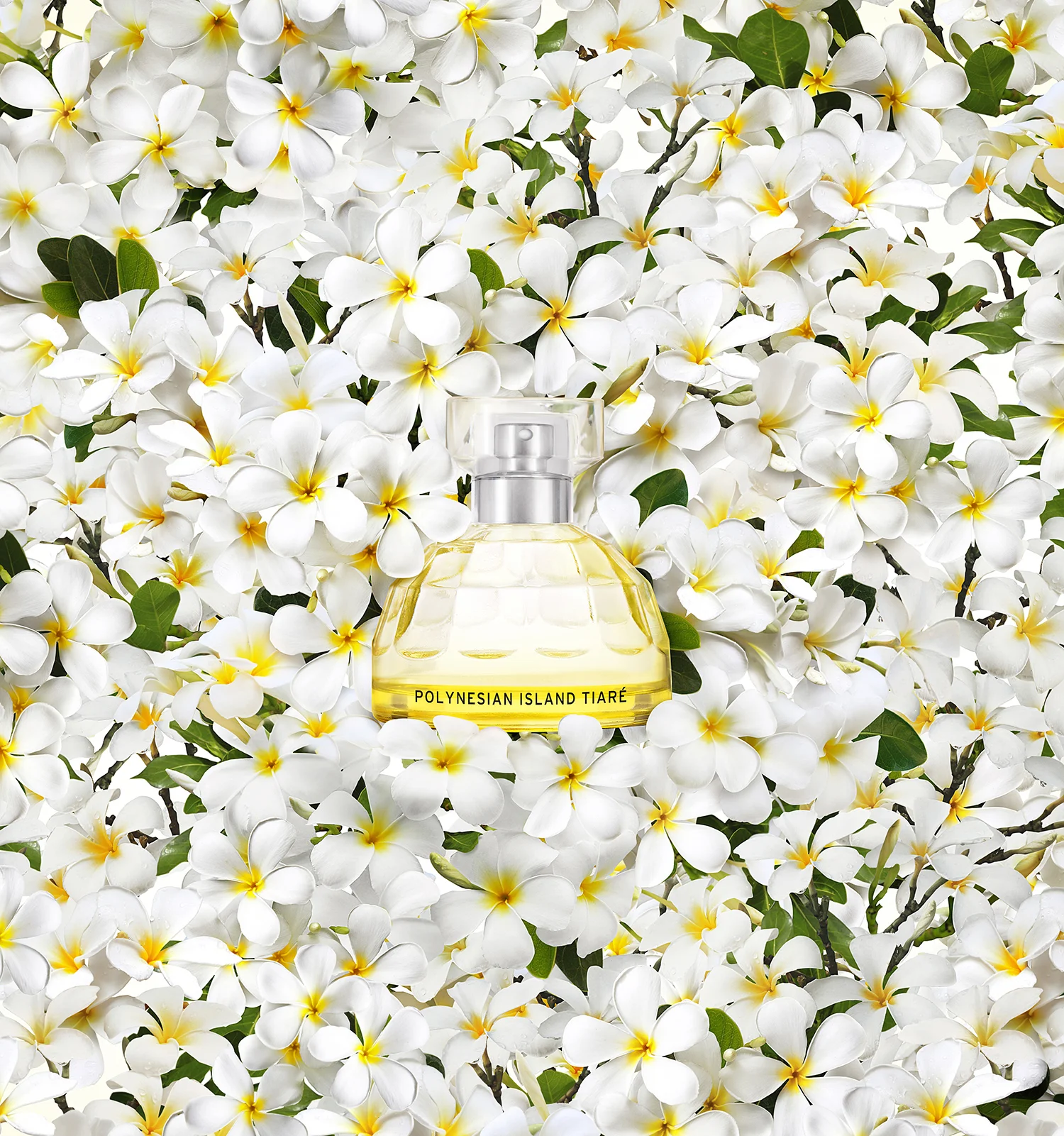 Bodyshop_Fragrance_Vwhole-canvas-v2.jpg