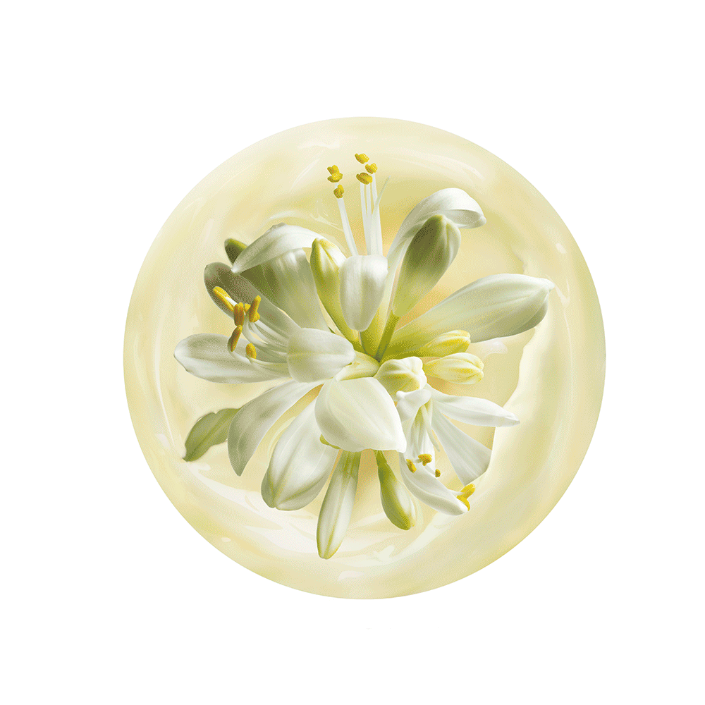 Body Shop